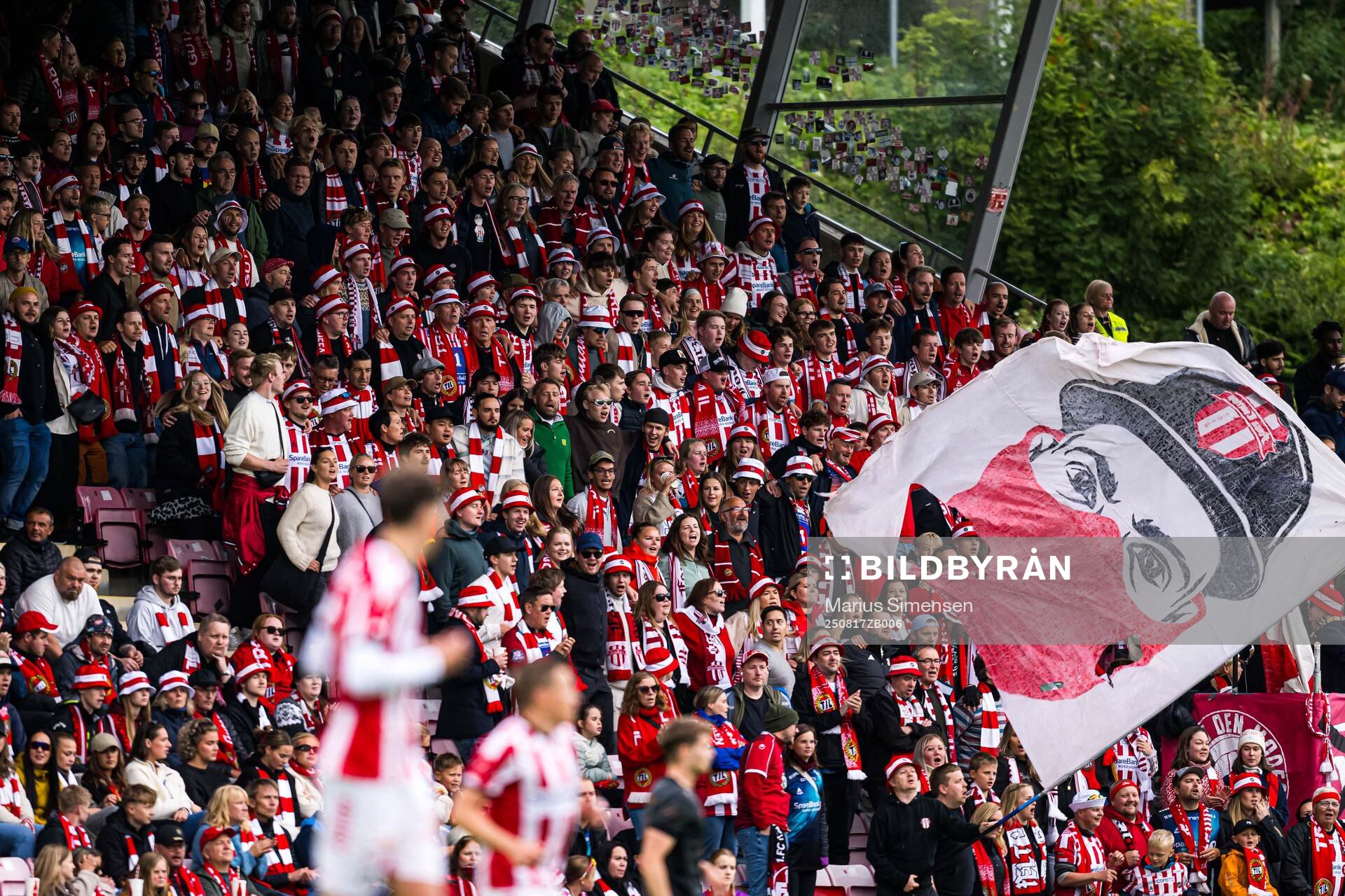 Spectators in the stands