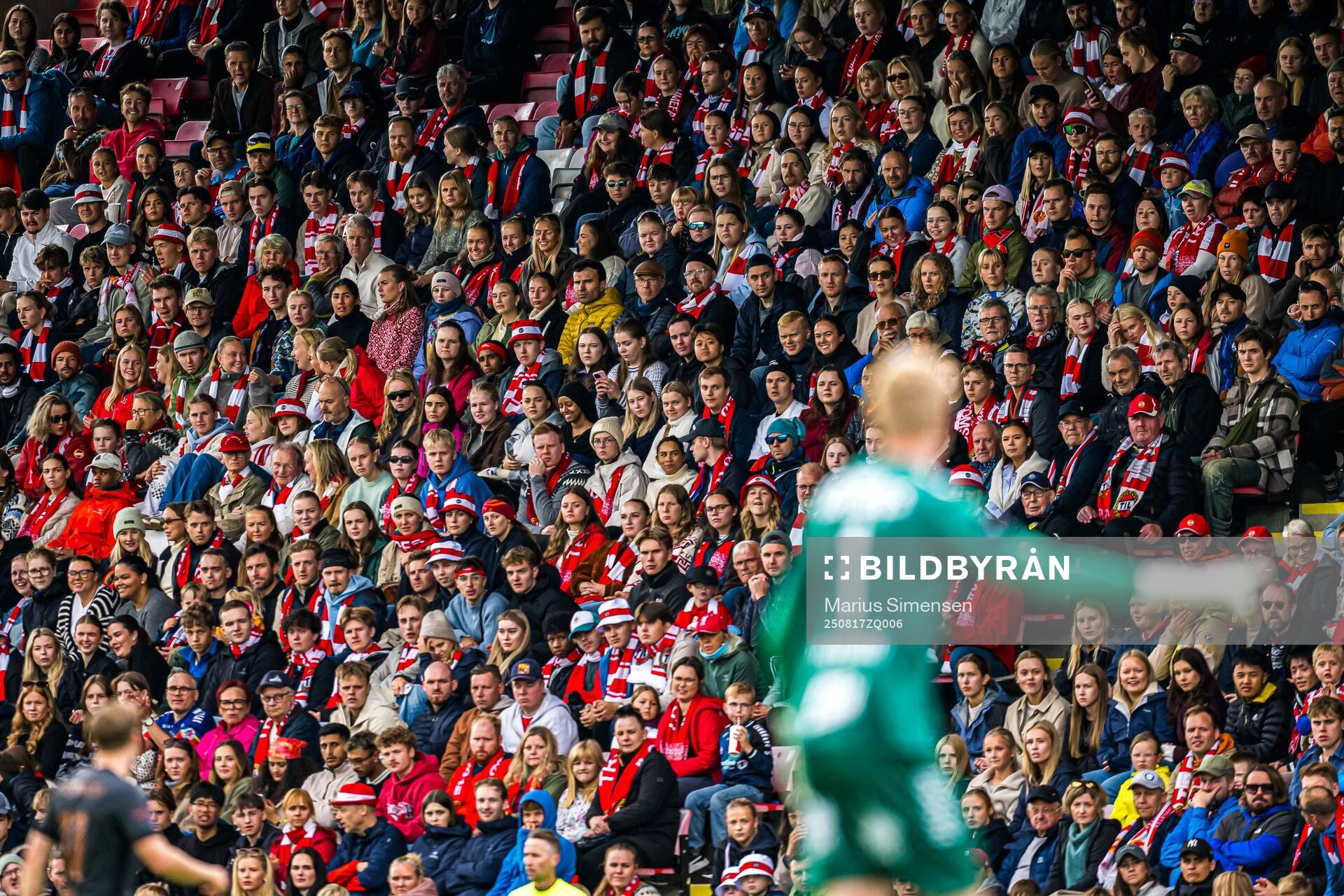 Spectators in the stands