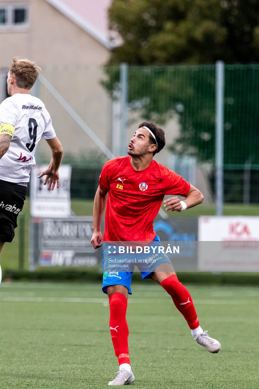 Helsingborgs Kosta Petrovic