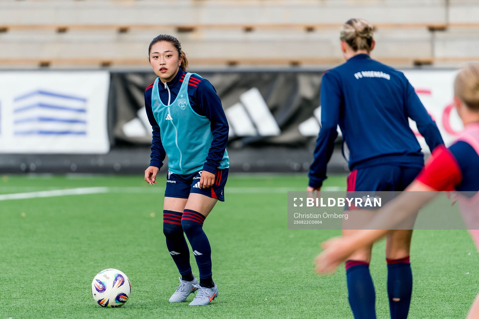 Rosengårds Aemu Oyama
