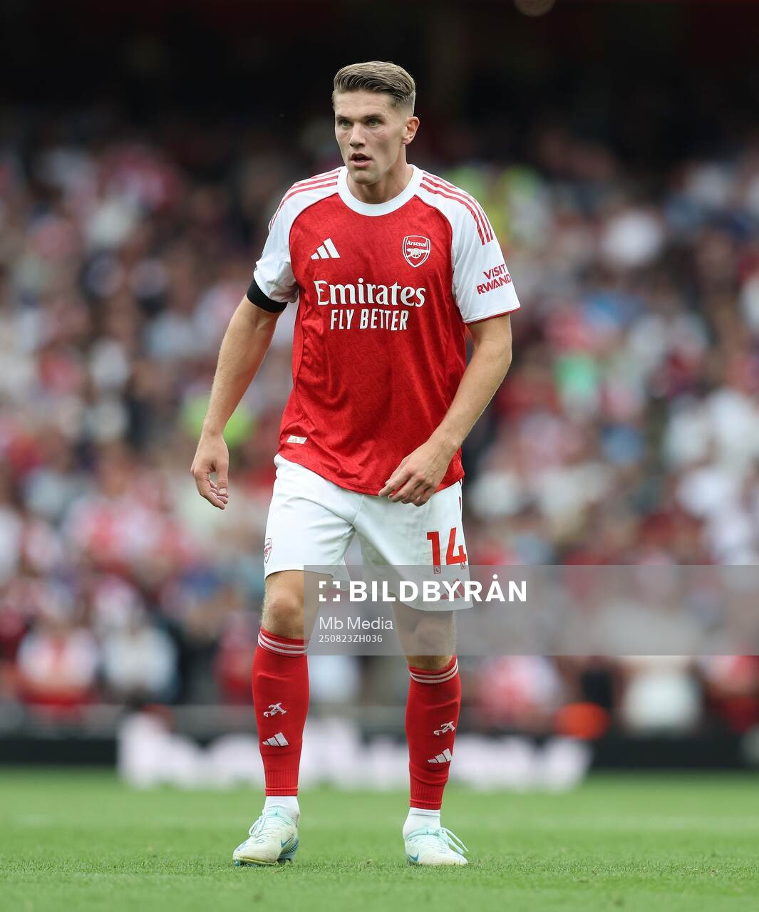 Viktor Gyökeres of Arsenal