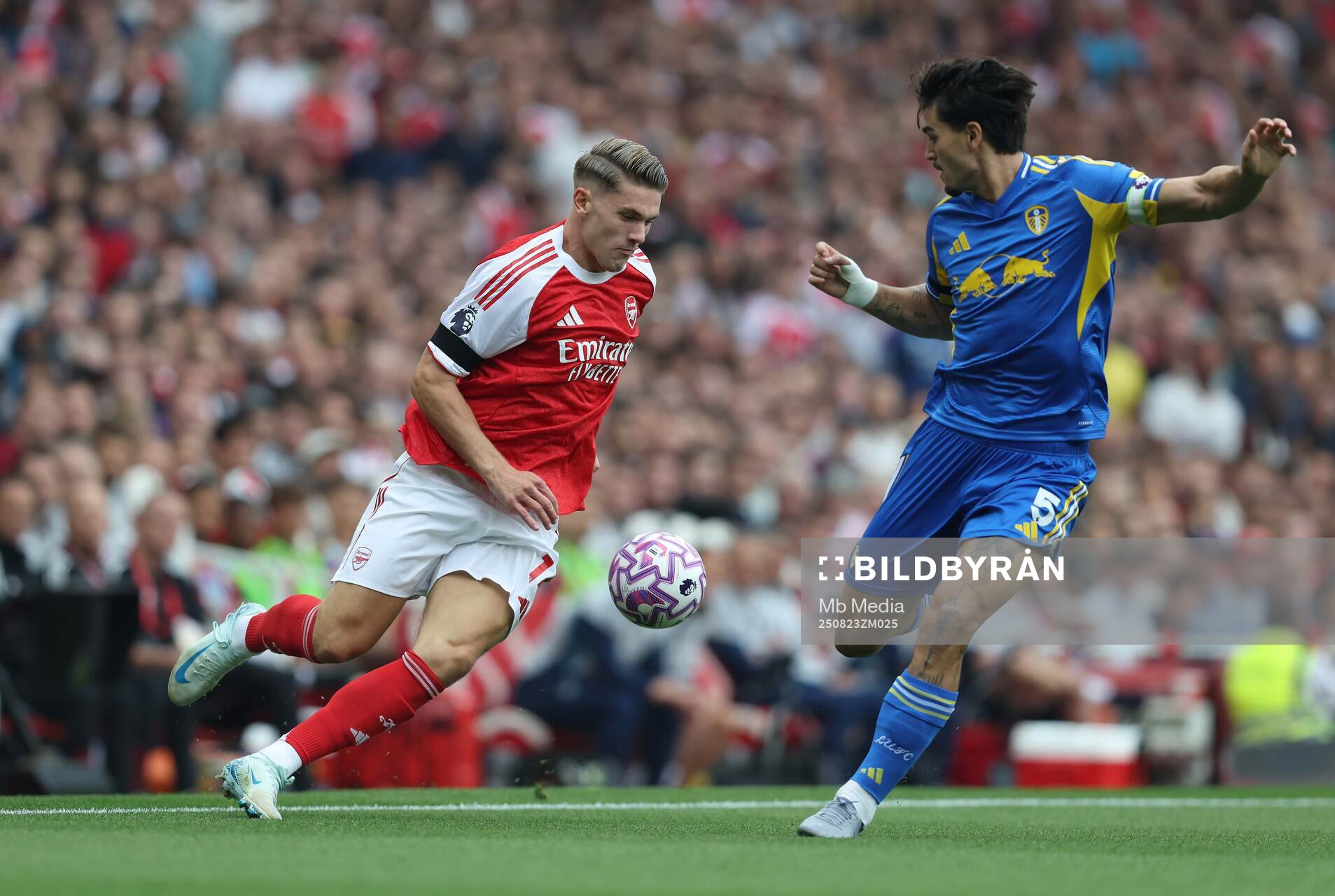 Viktor Gyökeres of Arsenal