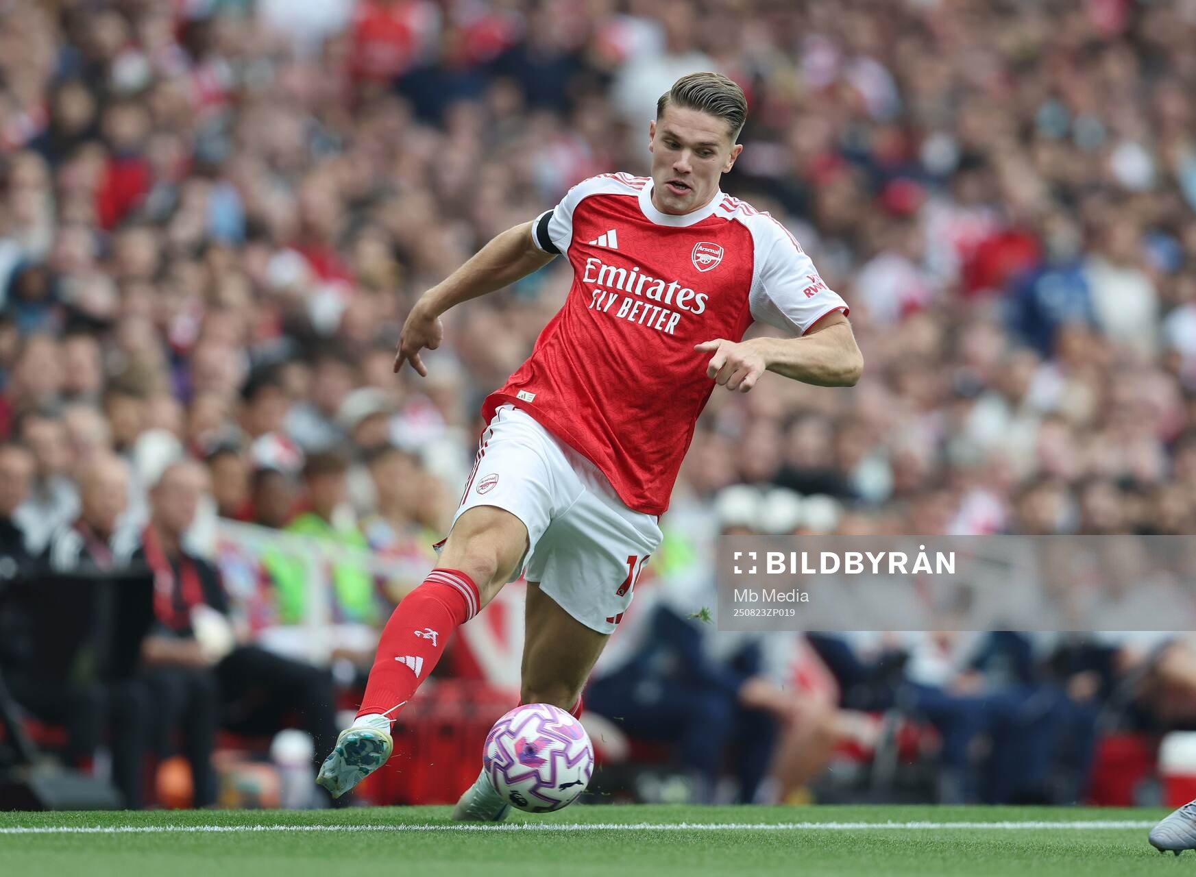 Viktor Gyökeres of Arsenal
