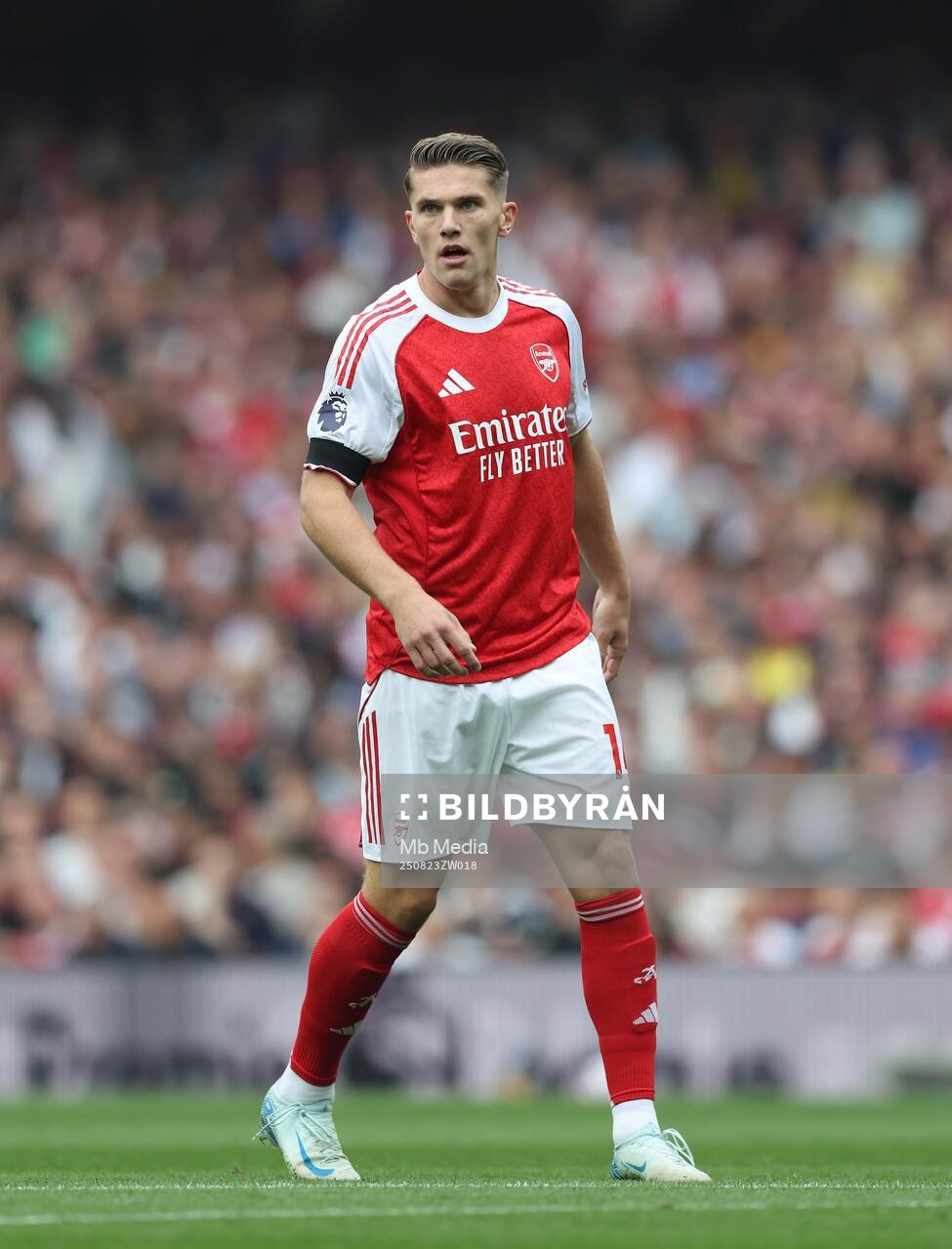 Viktor Gyökeres of Arsenal