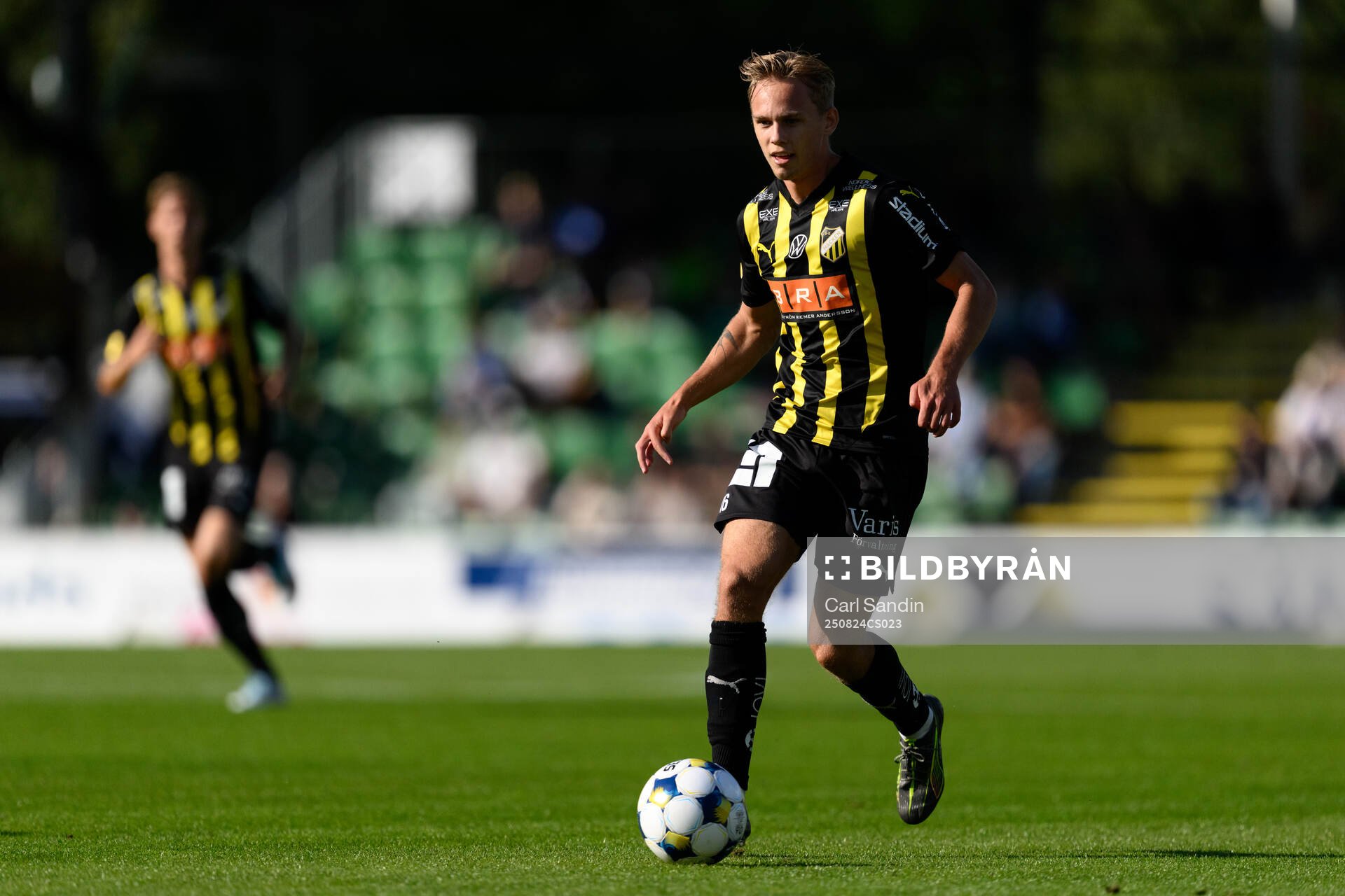 Häckens Pontus Dahbo