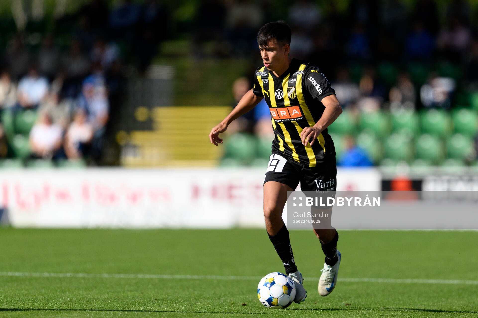 Häckens Danilo Al-Saed