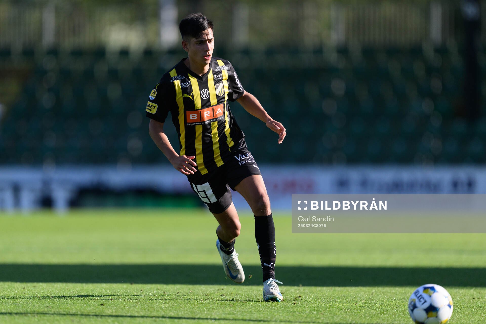 Häckens Danilo Al-Saed