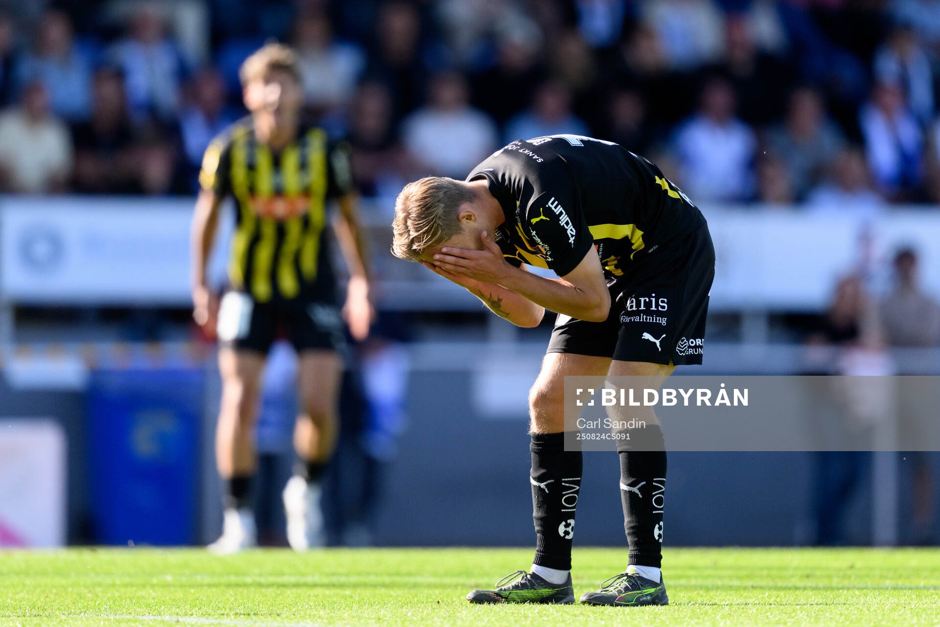 Häckens Pontus Dahbo deppar