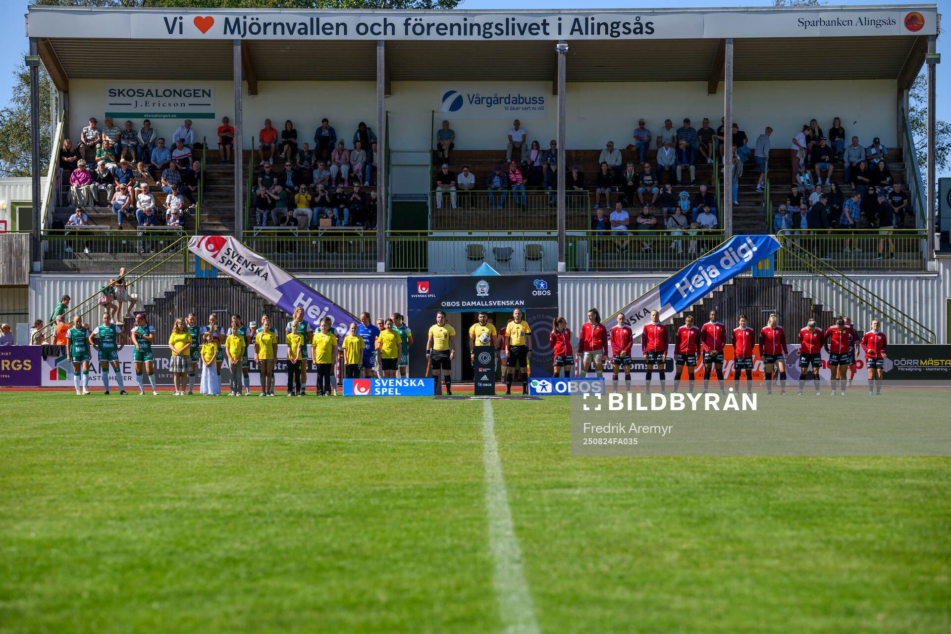 Lineup