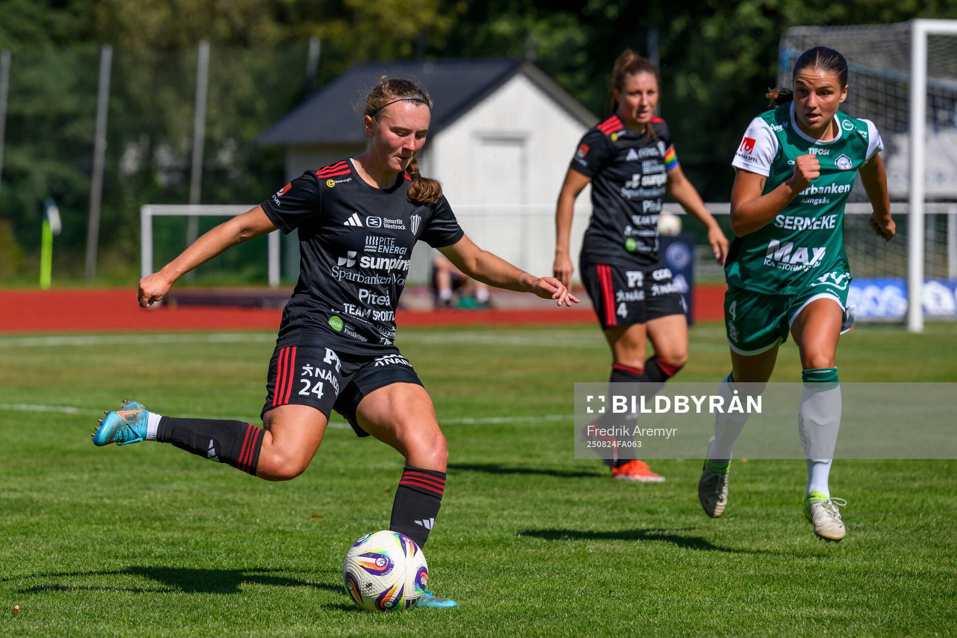 Piteås Emily Gray