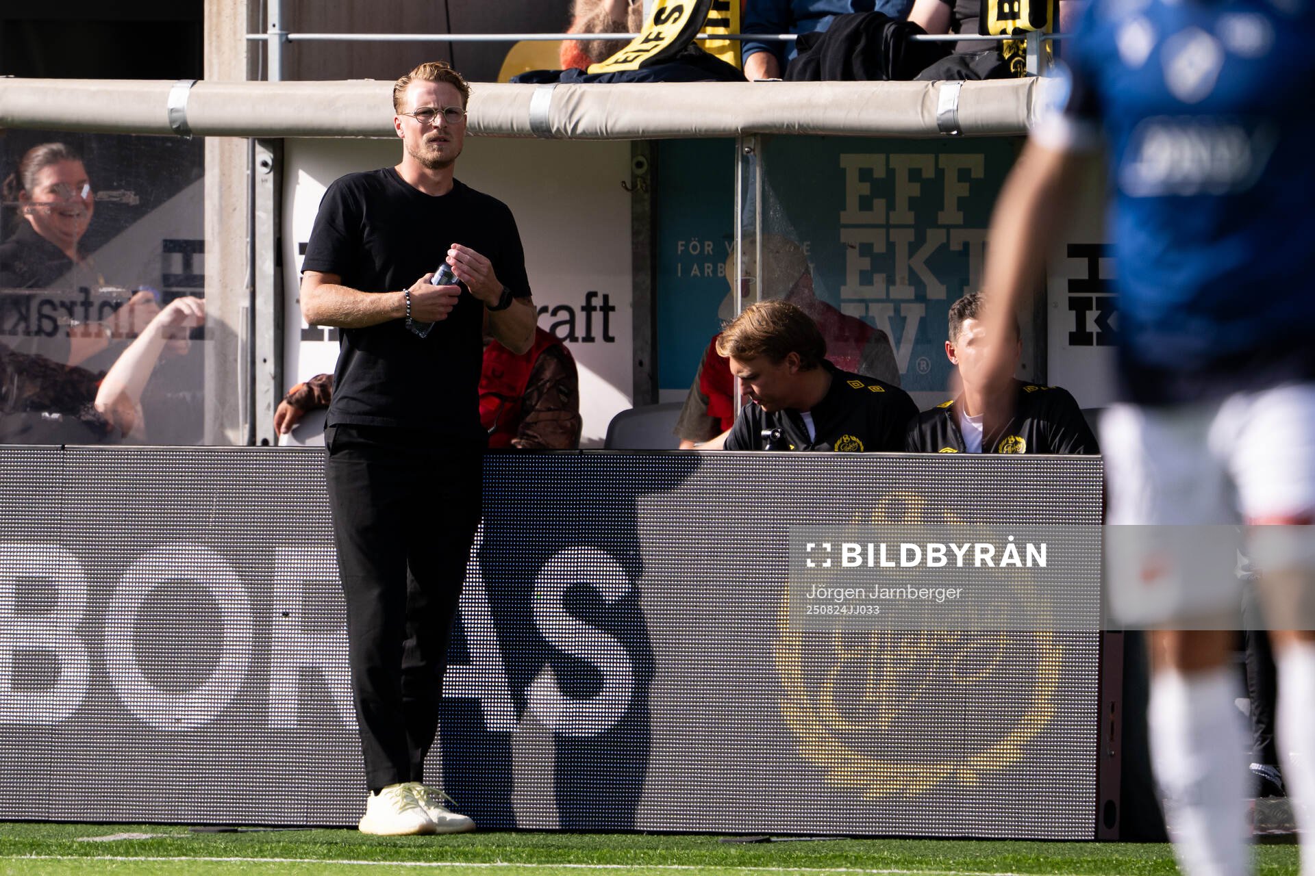 Elfsborgs tränare Oscar Hiljemark