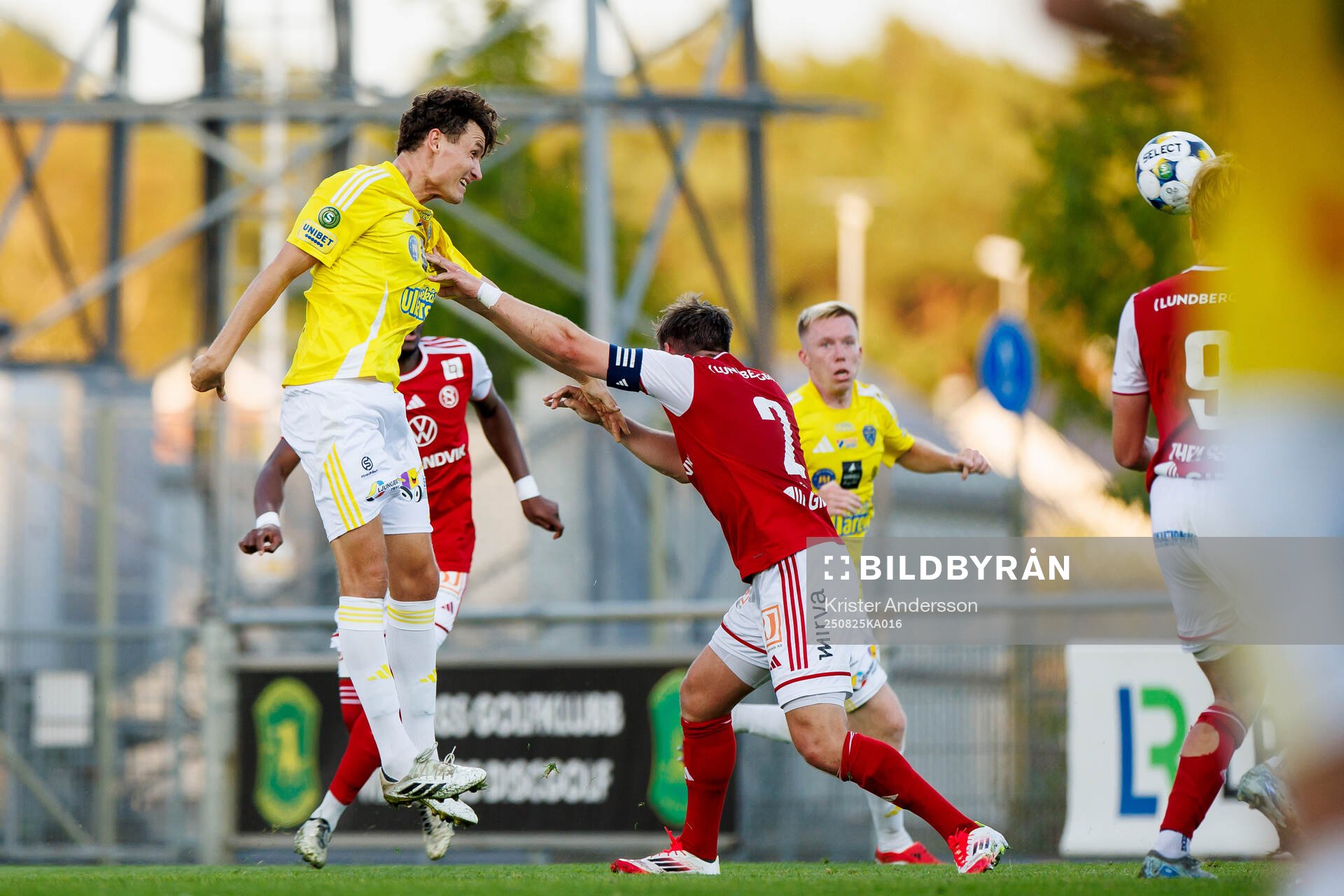 Falkenbergs Alexander Salo