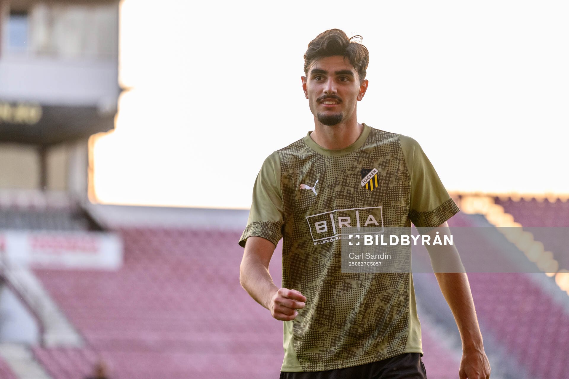 Nikola Mitrovic