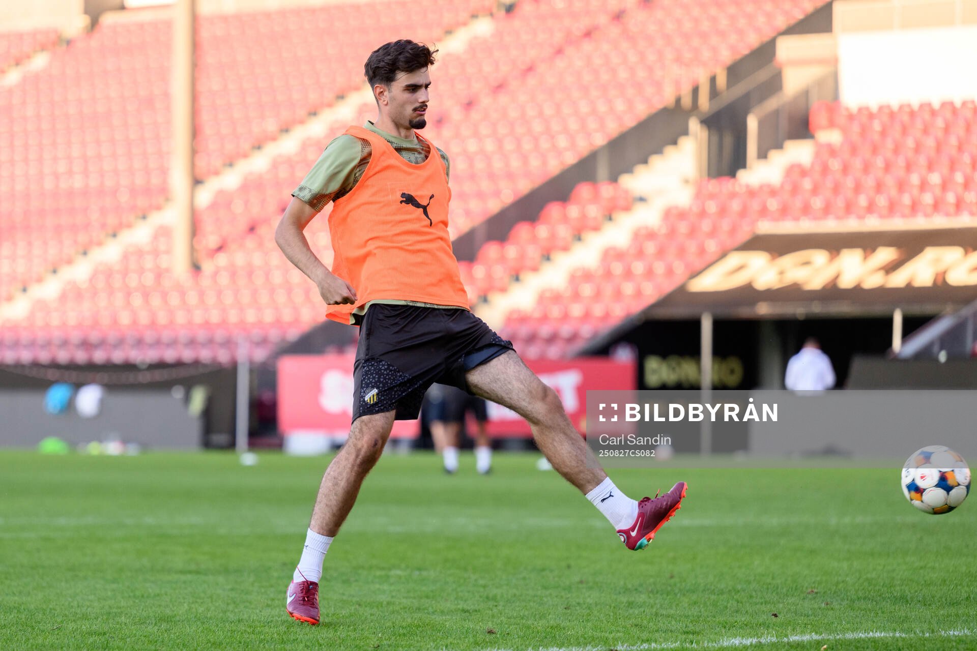 Nikola Mitrovic
