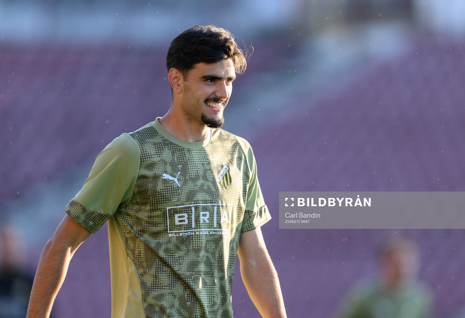 Nikola Mitrovic