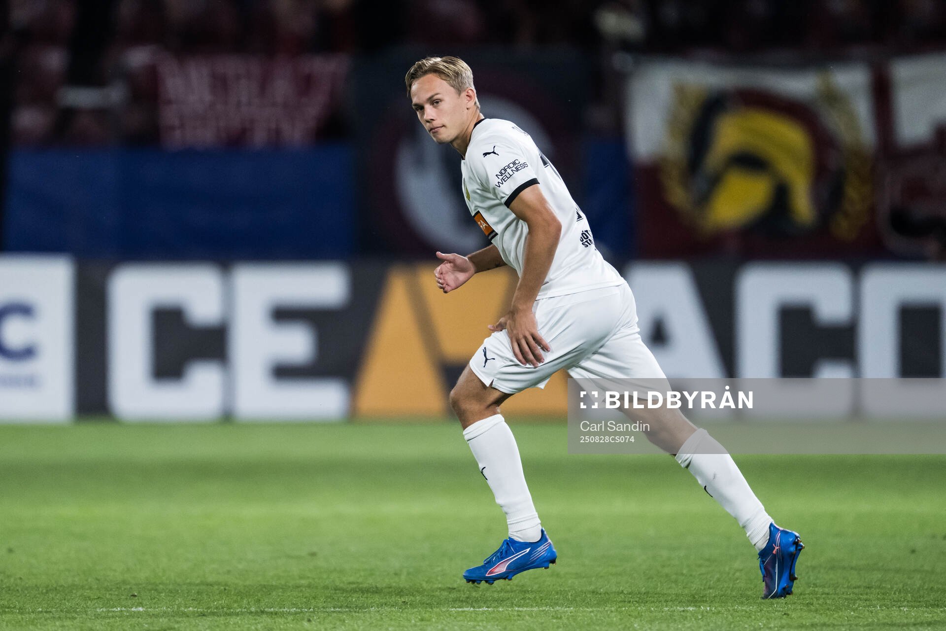 Pontus Dahbo of Häcken