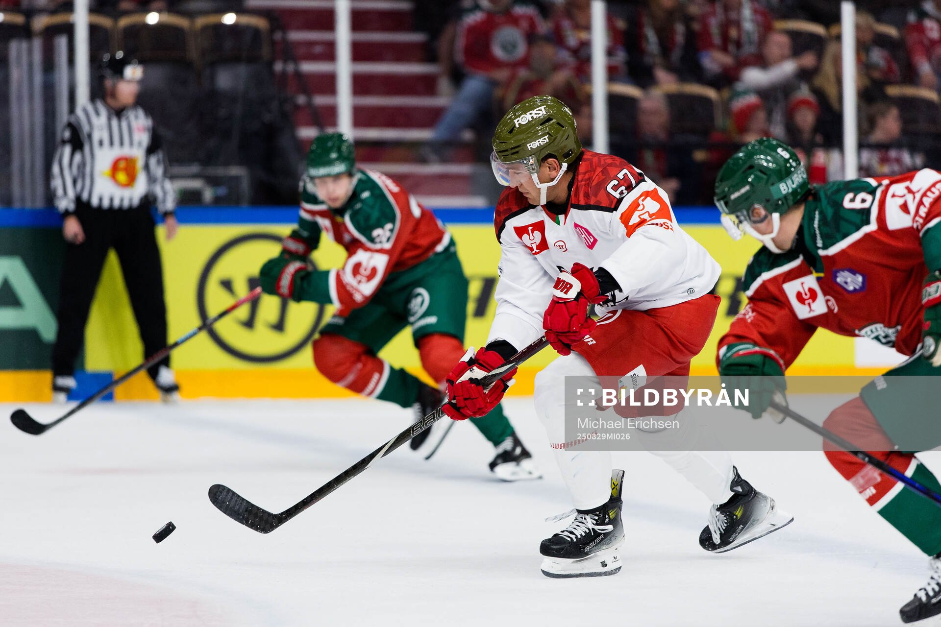 Matthew James Bradley of Bolzano