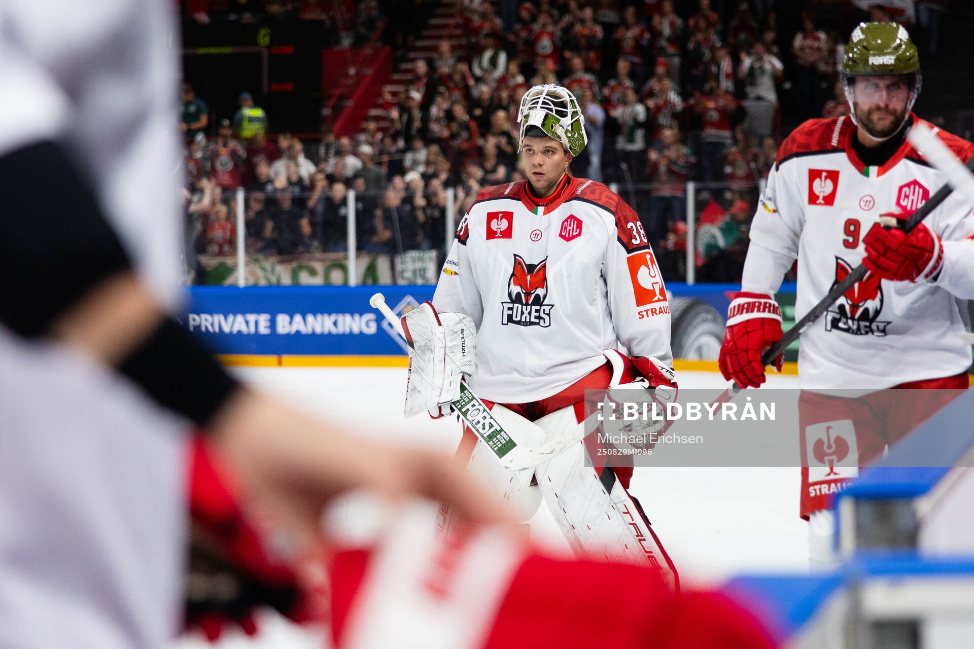 Goaltender Samuel Harvey of Bolzano