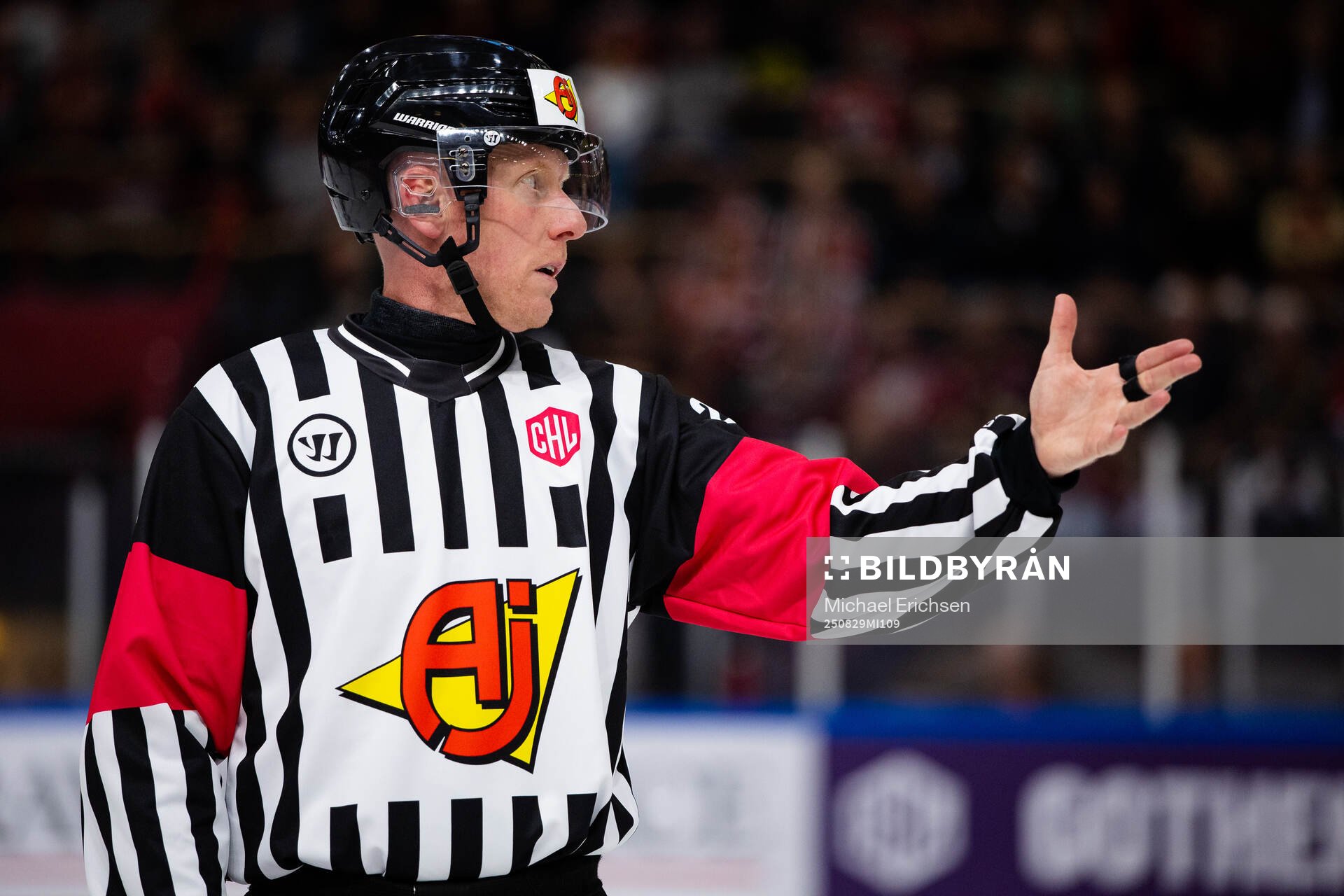 Referee Mikael Holm
