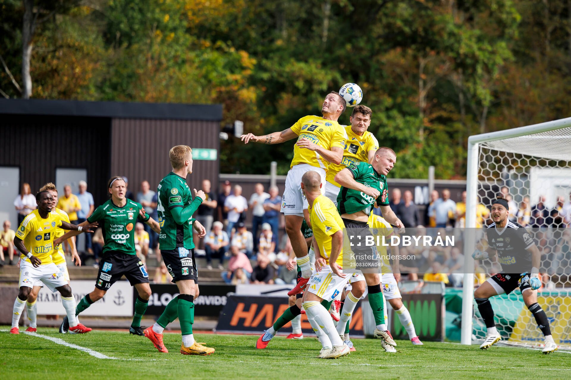 Falkenbergs Viktor Ekblom och Albin Andersson