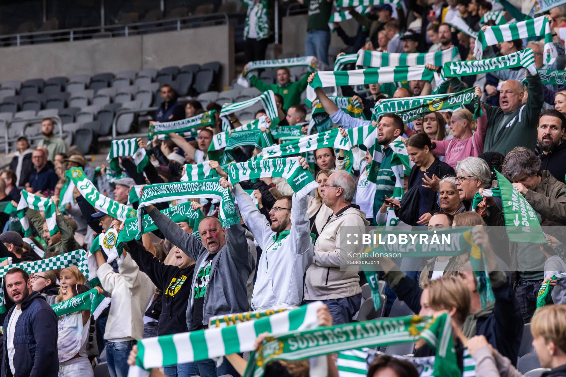 Fans of Hammarby
