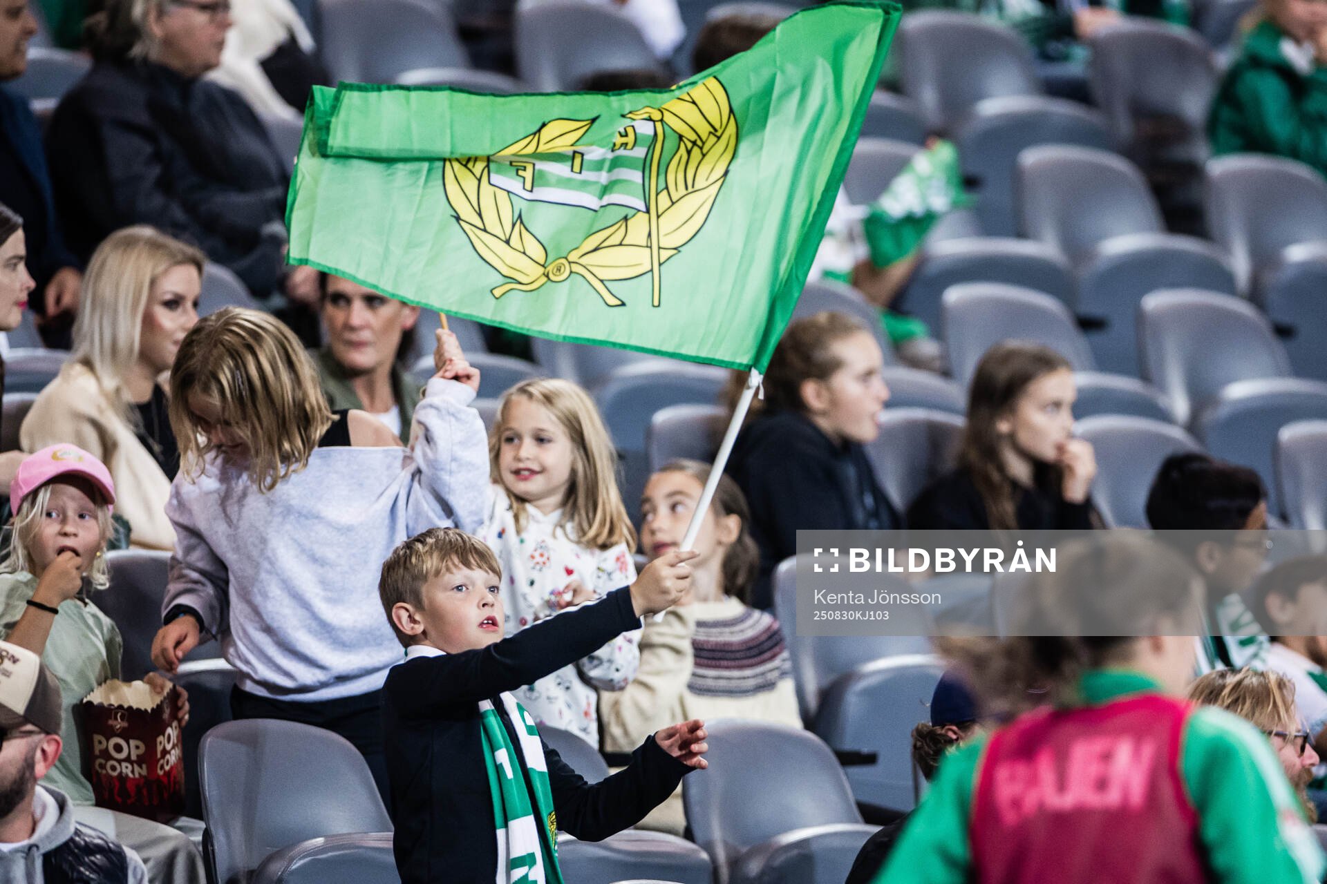 Supporters of Hammarby