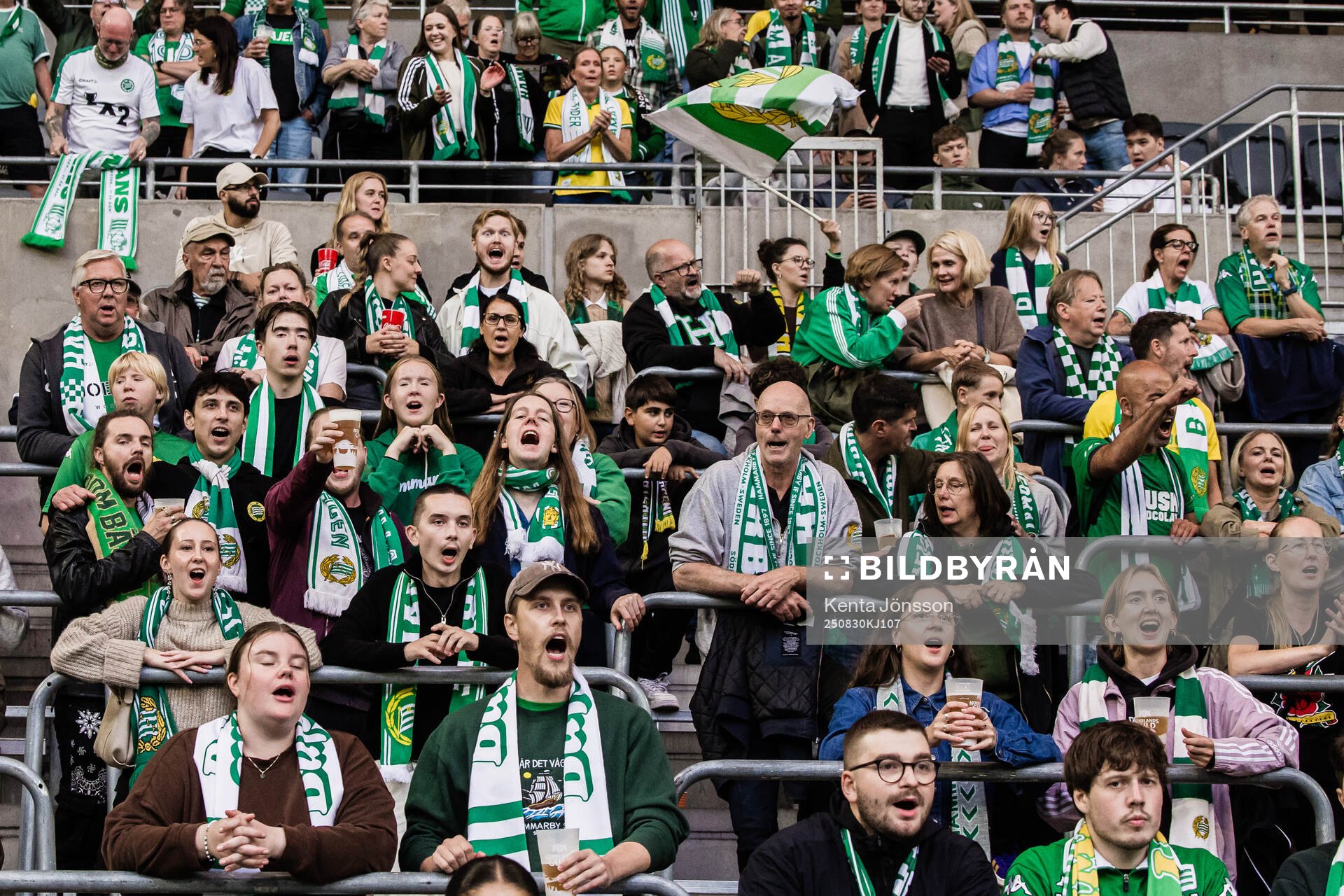Supporters of Hammarby