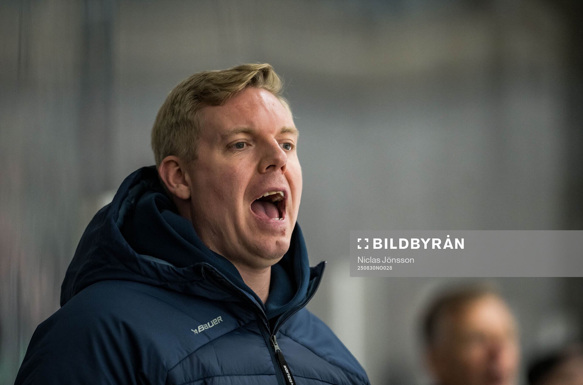 HV71s tränare Anton Blomqvist