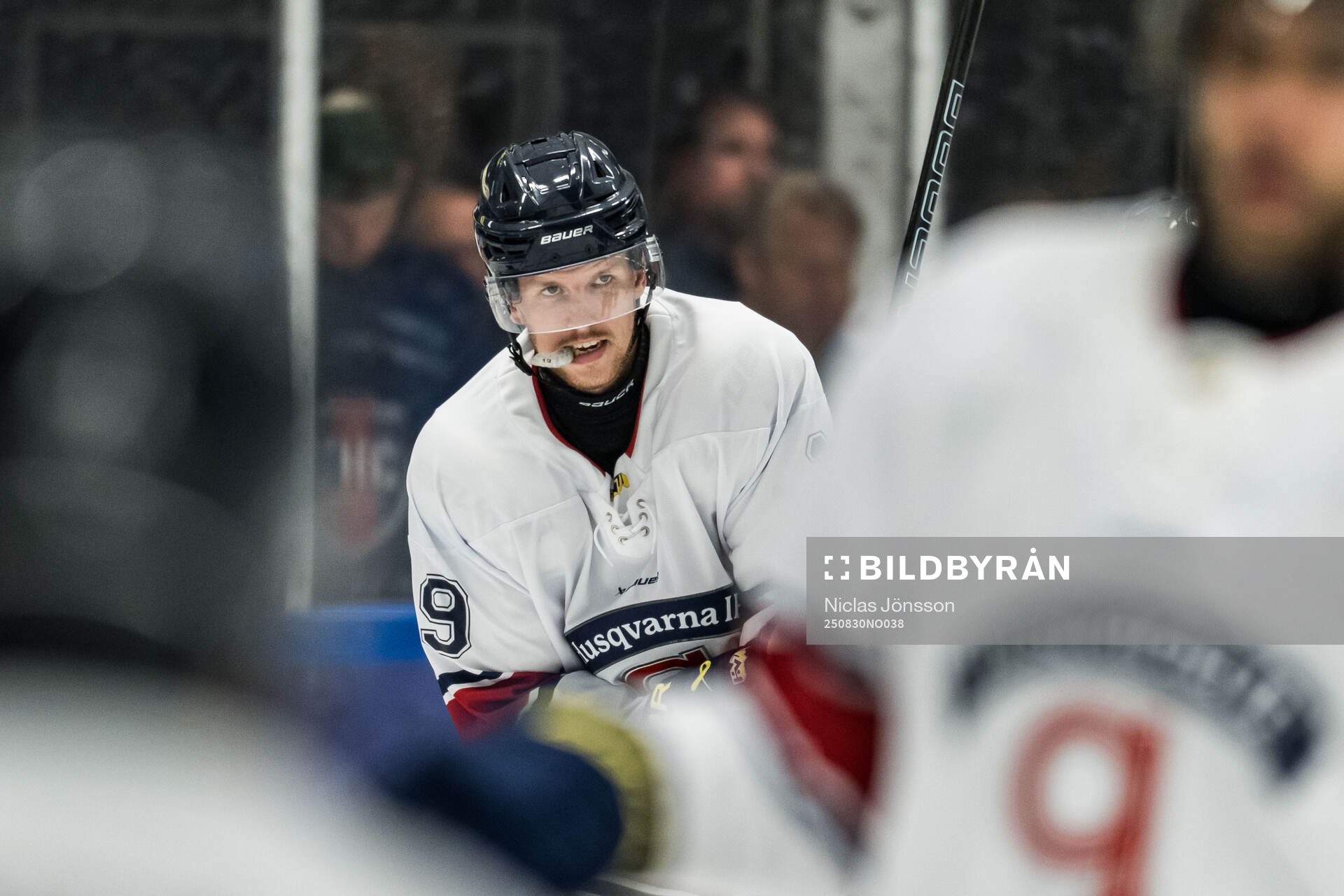 HV71s Niklas Hansson