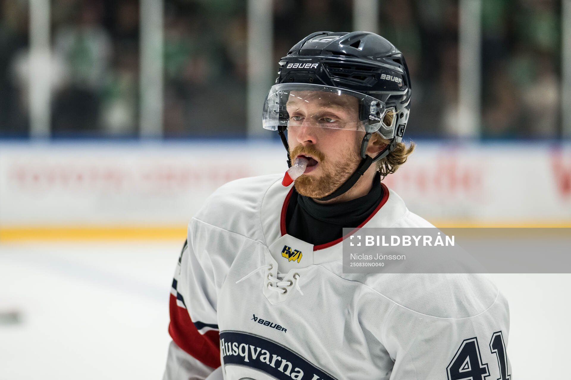 HV71s Riley Woods