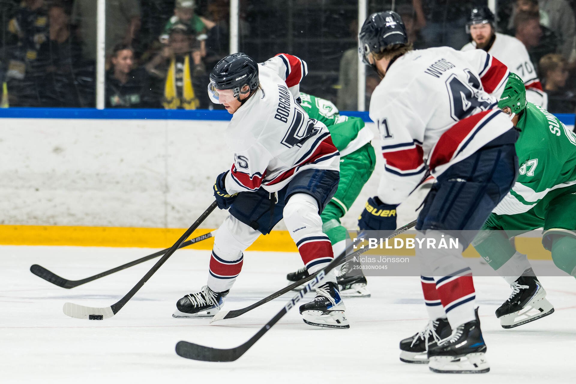 HV71s Andreas Borgman