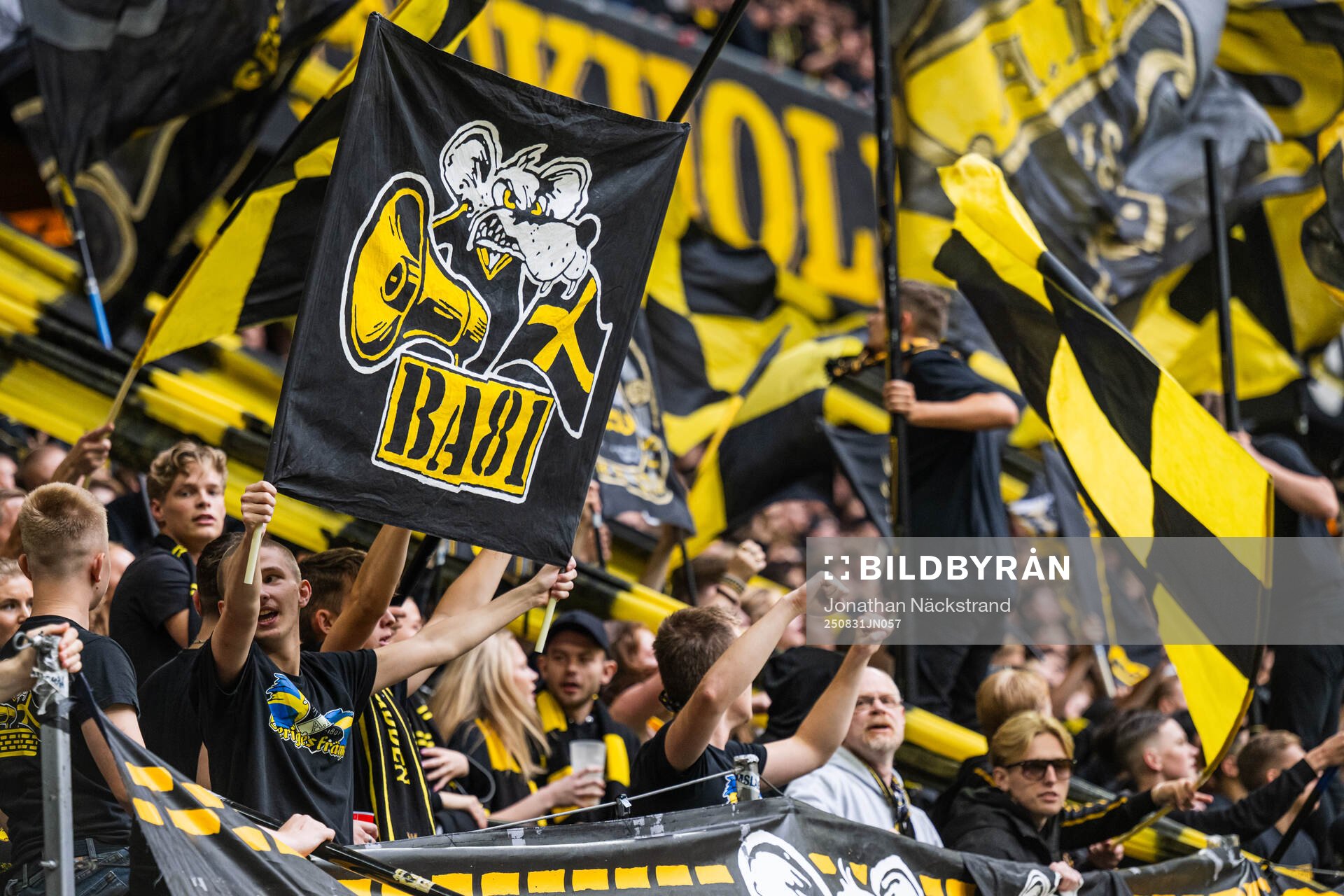 AIKs supportrar