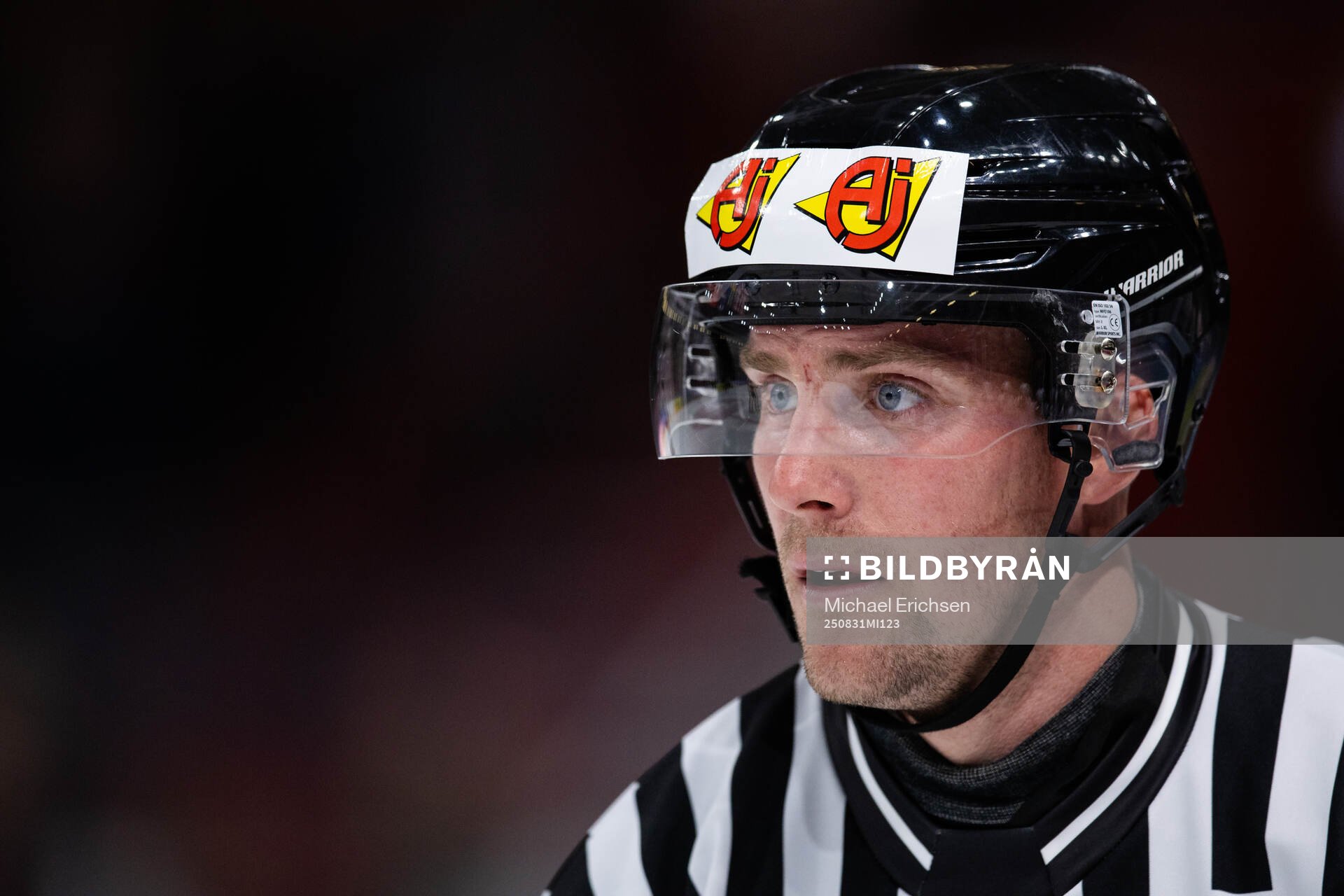 Linesman Gustav Jonsson