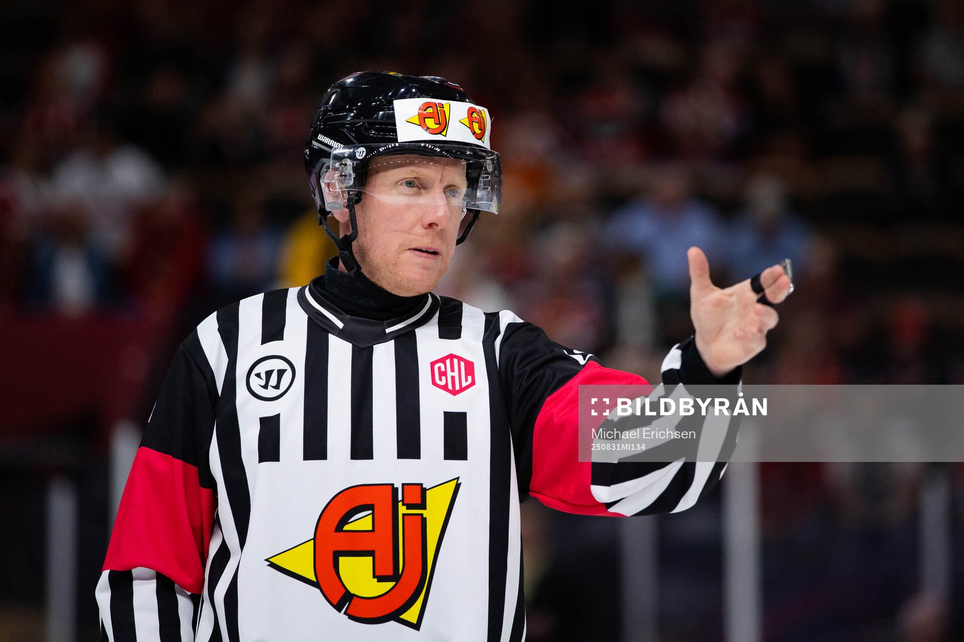Referee Mikael Holm