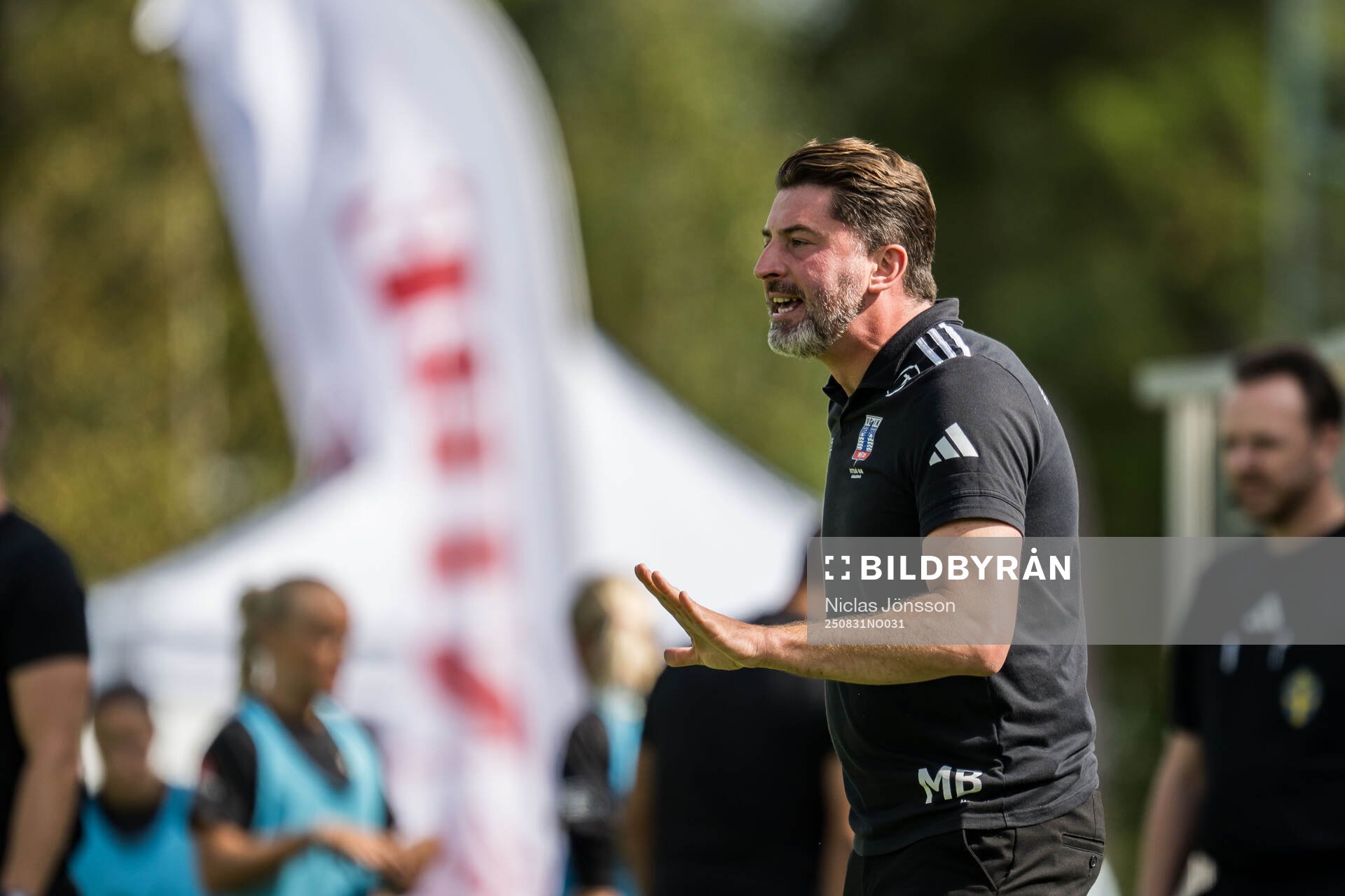 Vittsjös tränare Mladen Blagojevic