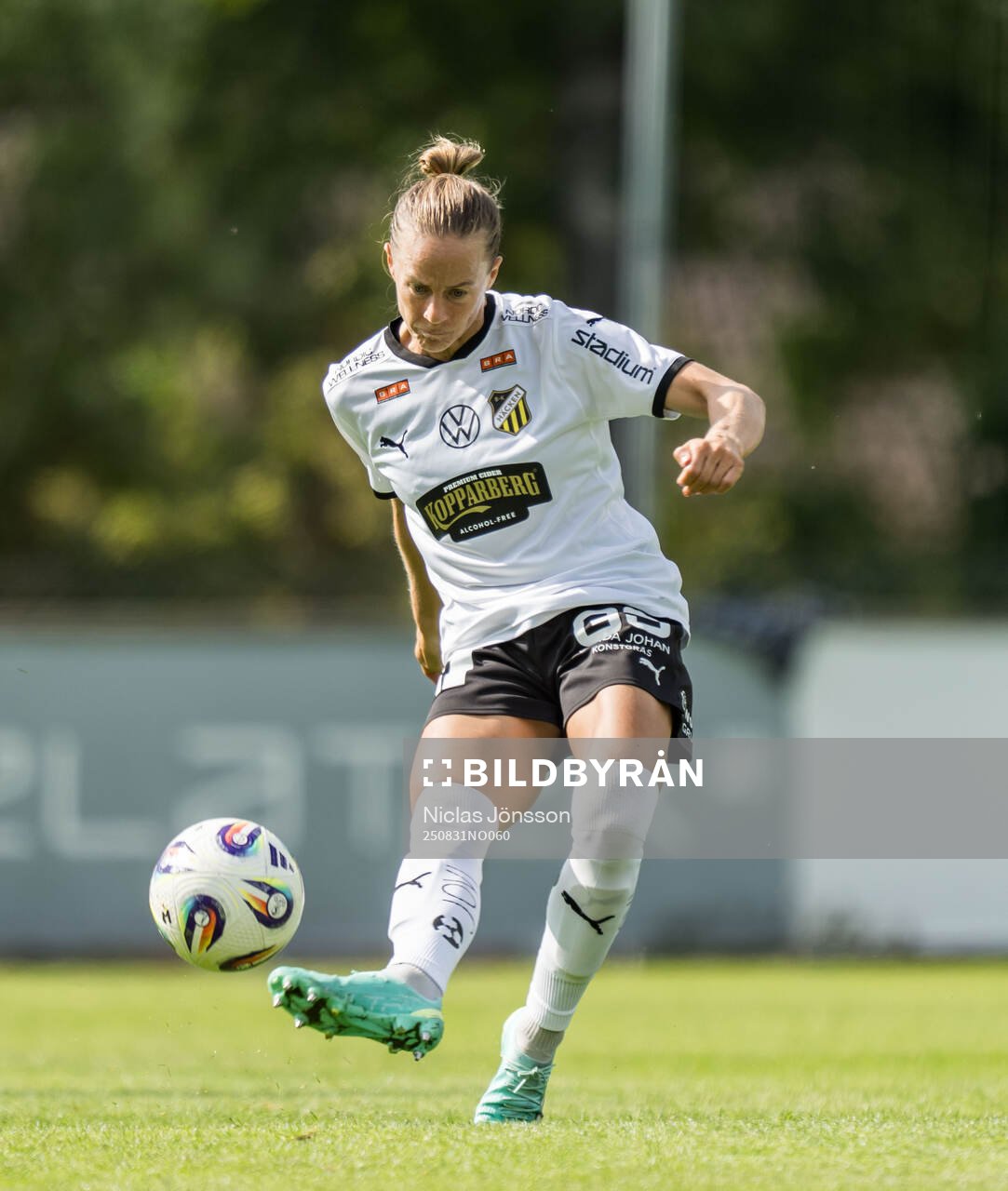 Häckens Aivi Luik