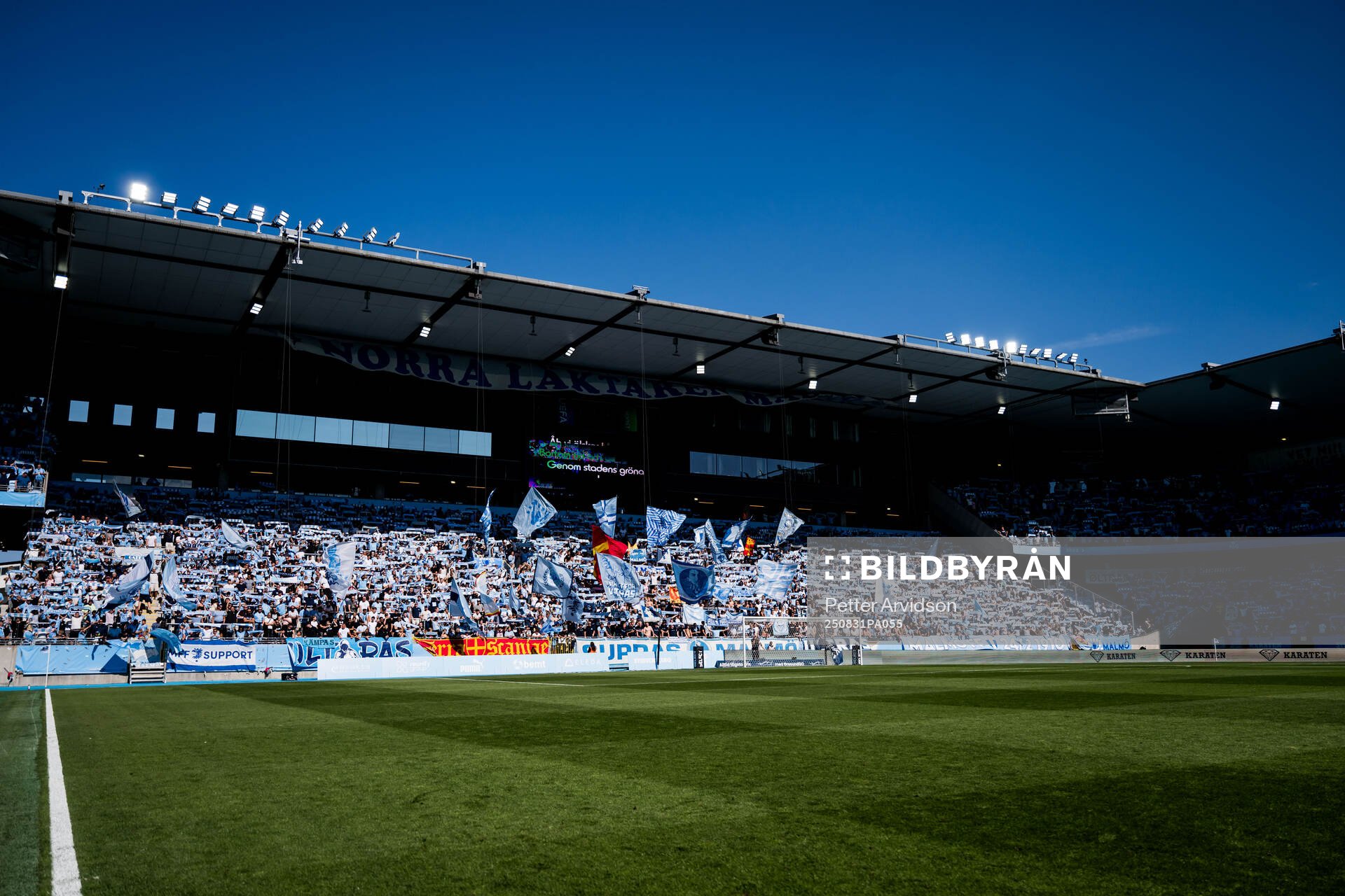 Malmö FFs supportrar