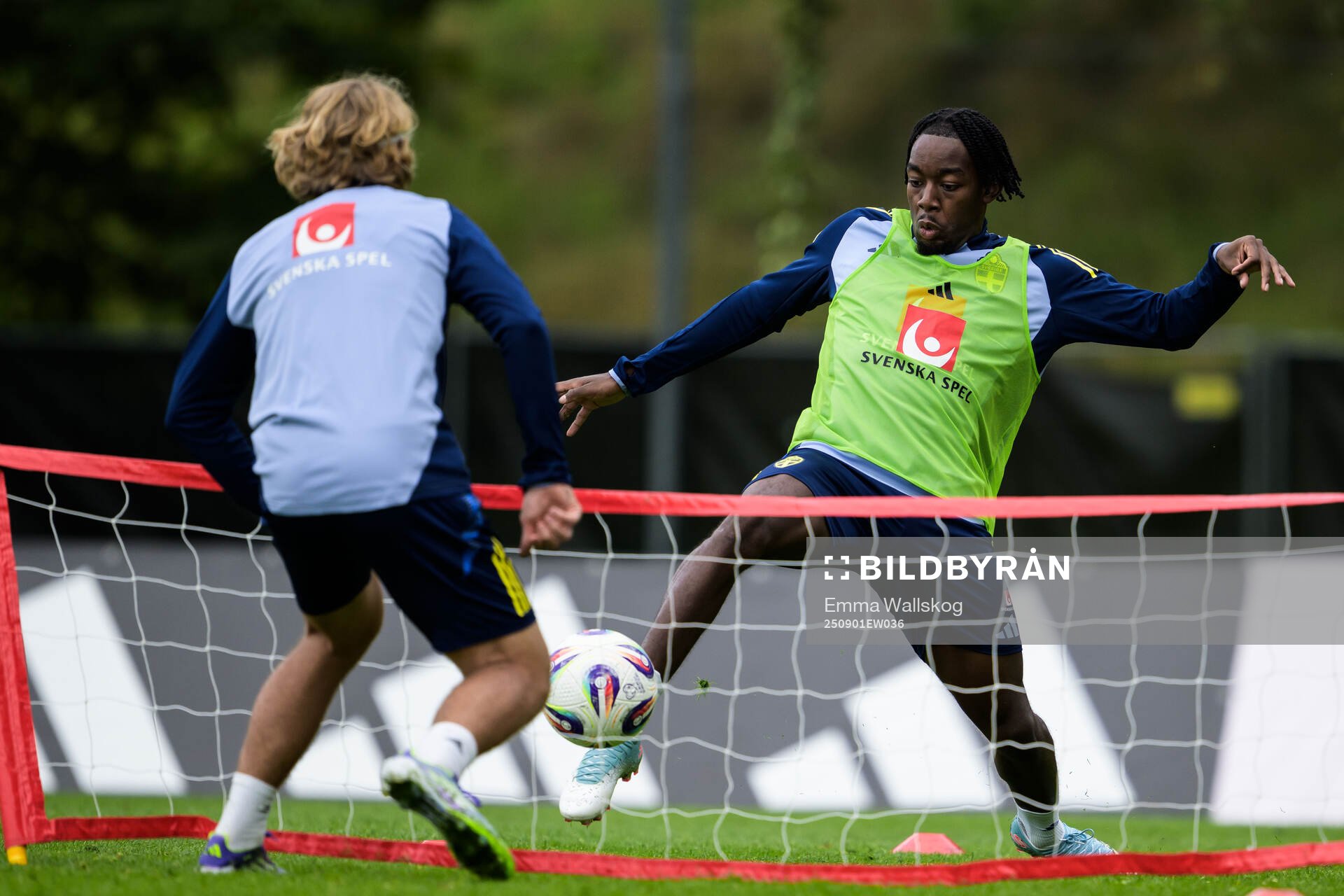 Anthony Elanga of the Swedish national football team
