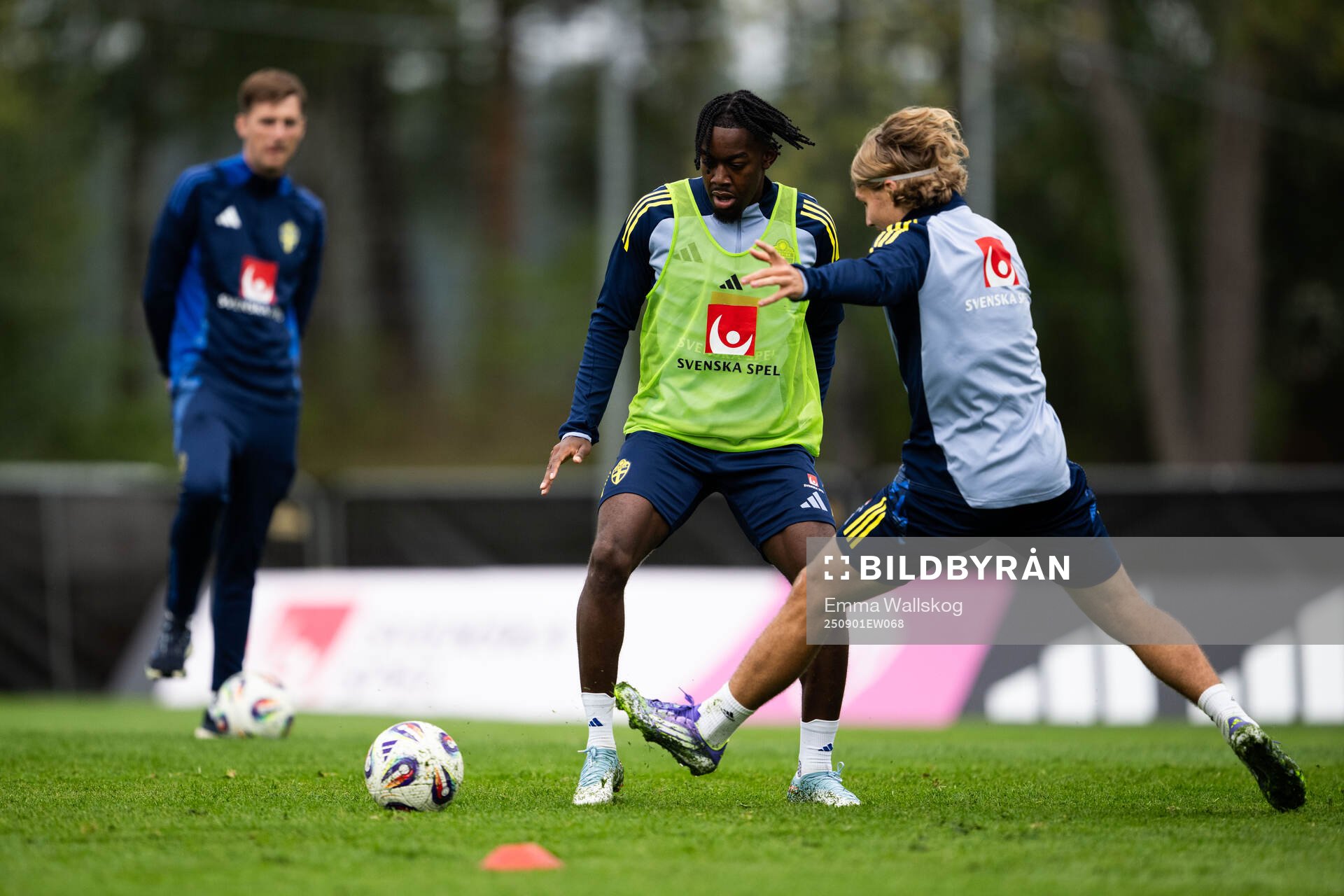 Anthony Elanga of the Swedish national football team