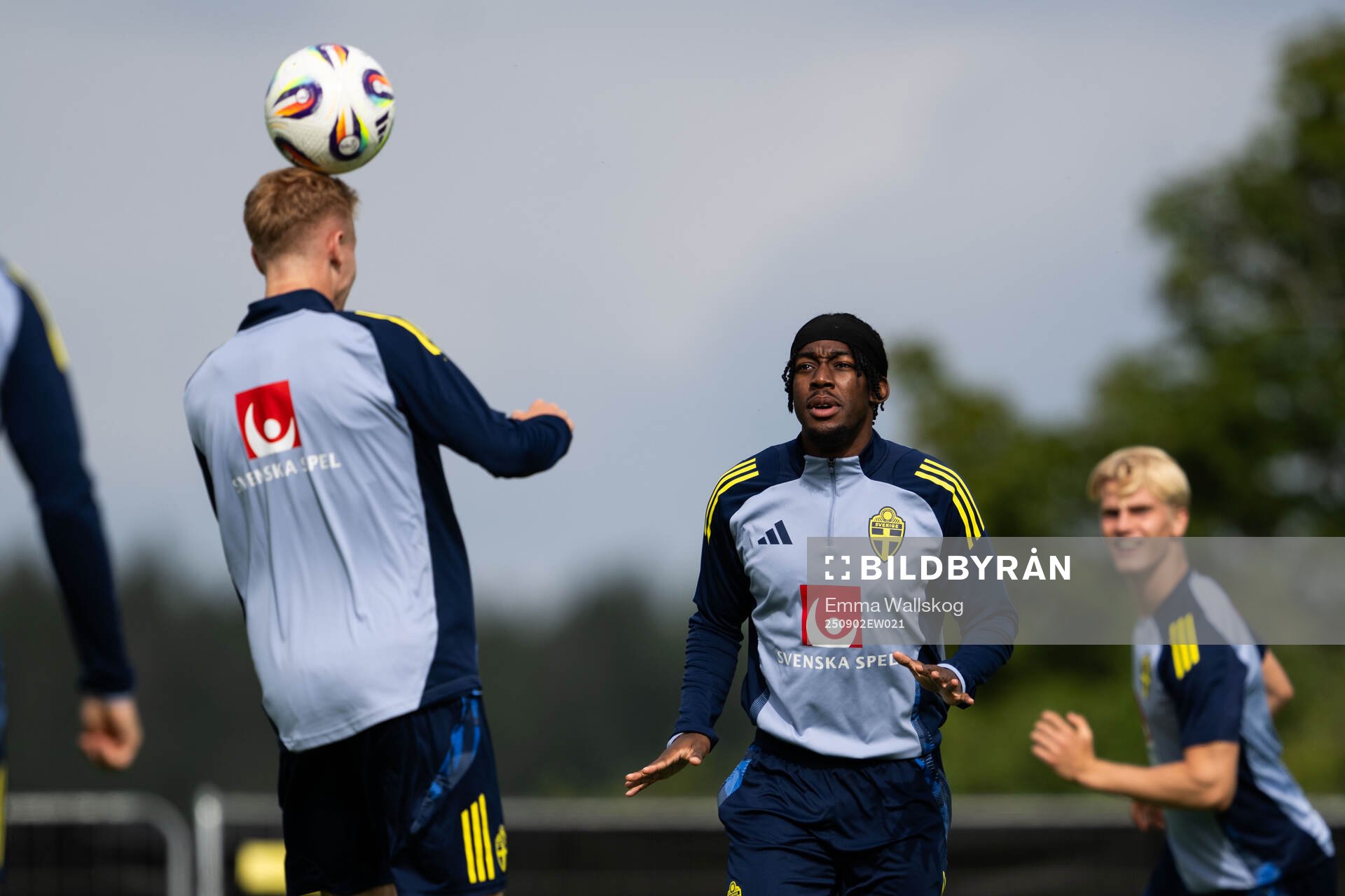 Anthony Elanga of the Swedish national football team