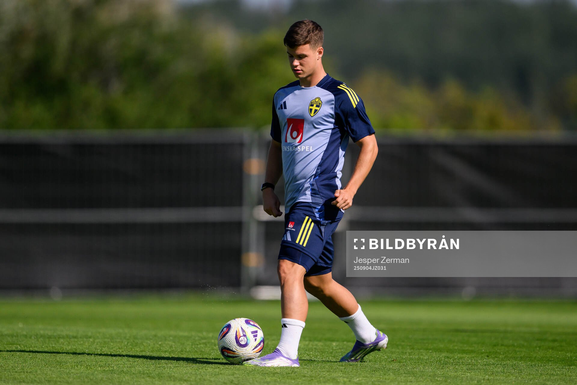 Samuel Dahl of the Swedish men's football national team at