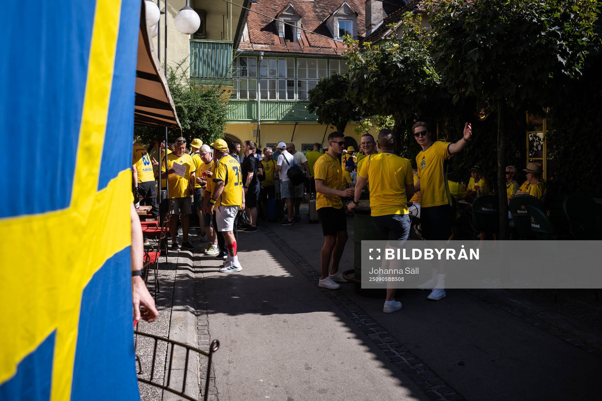 Fans of Sweden