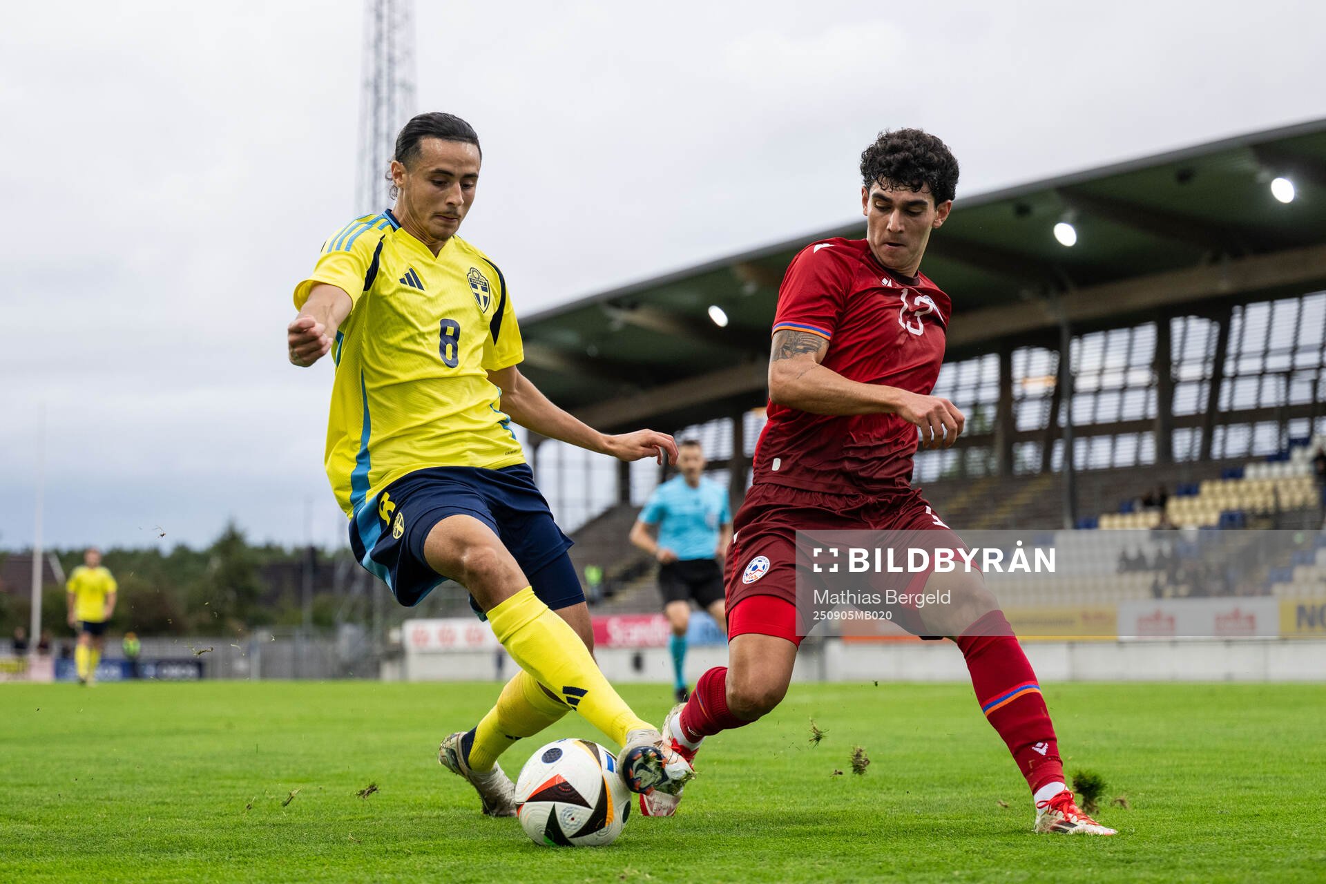 Amin Boudri of Sweden and Hamlet Sargsyan of Armenia