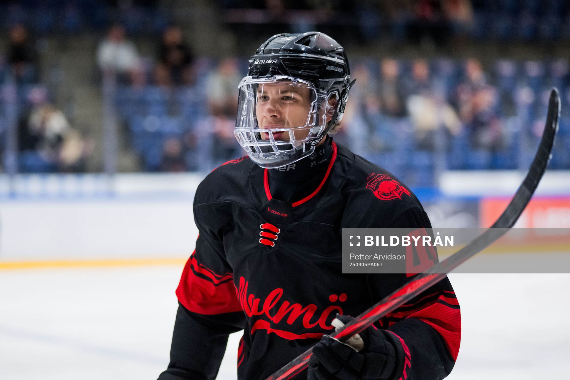 Malmö Redhawks Joseph Berger