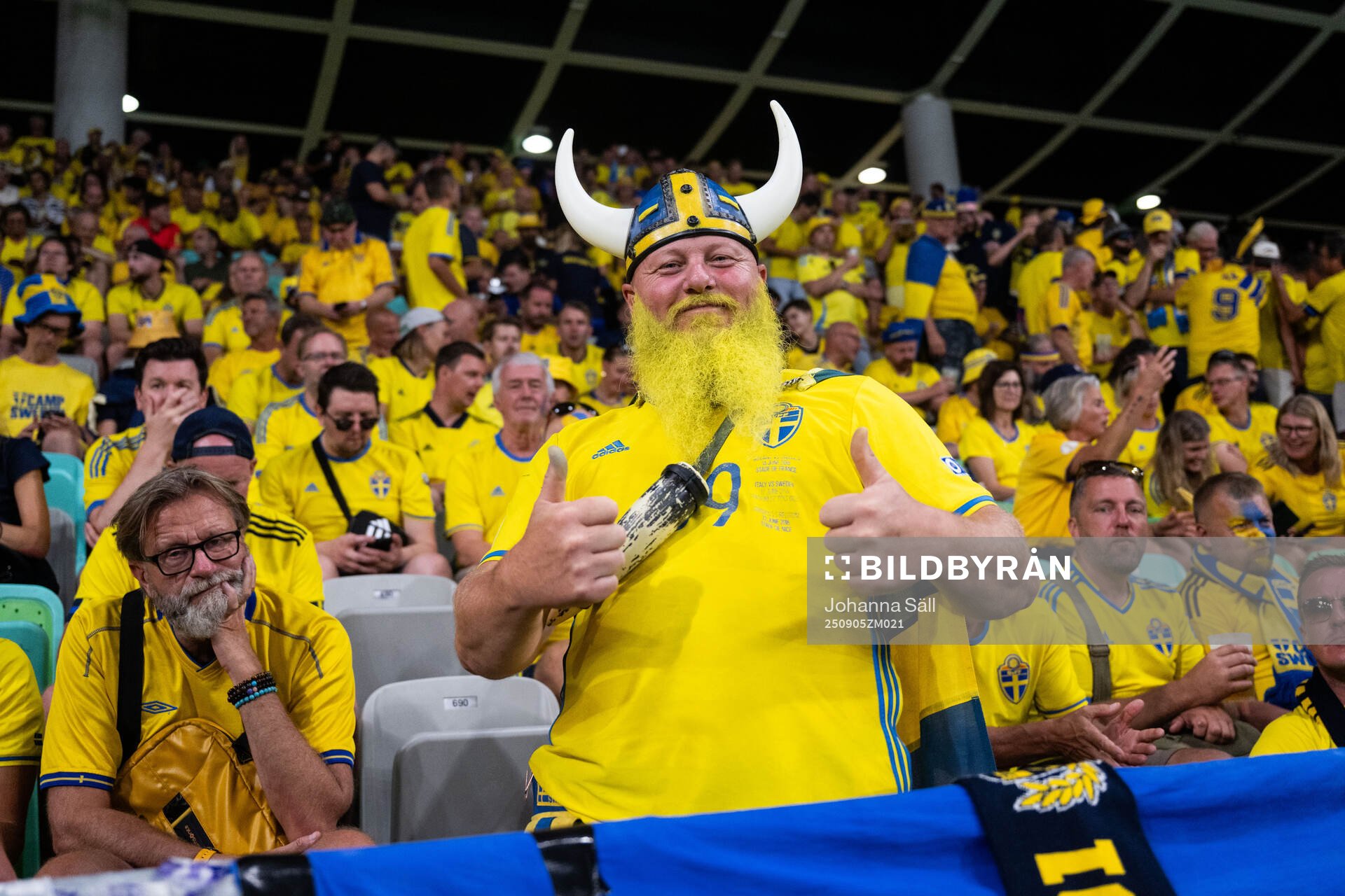 Fans of Sweden