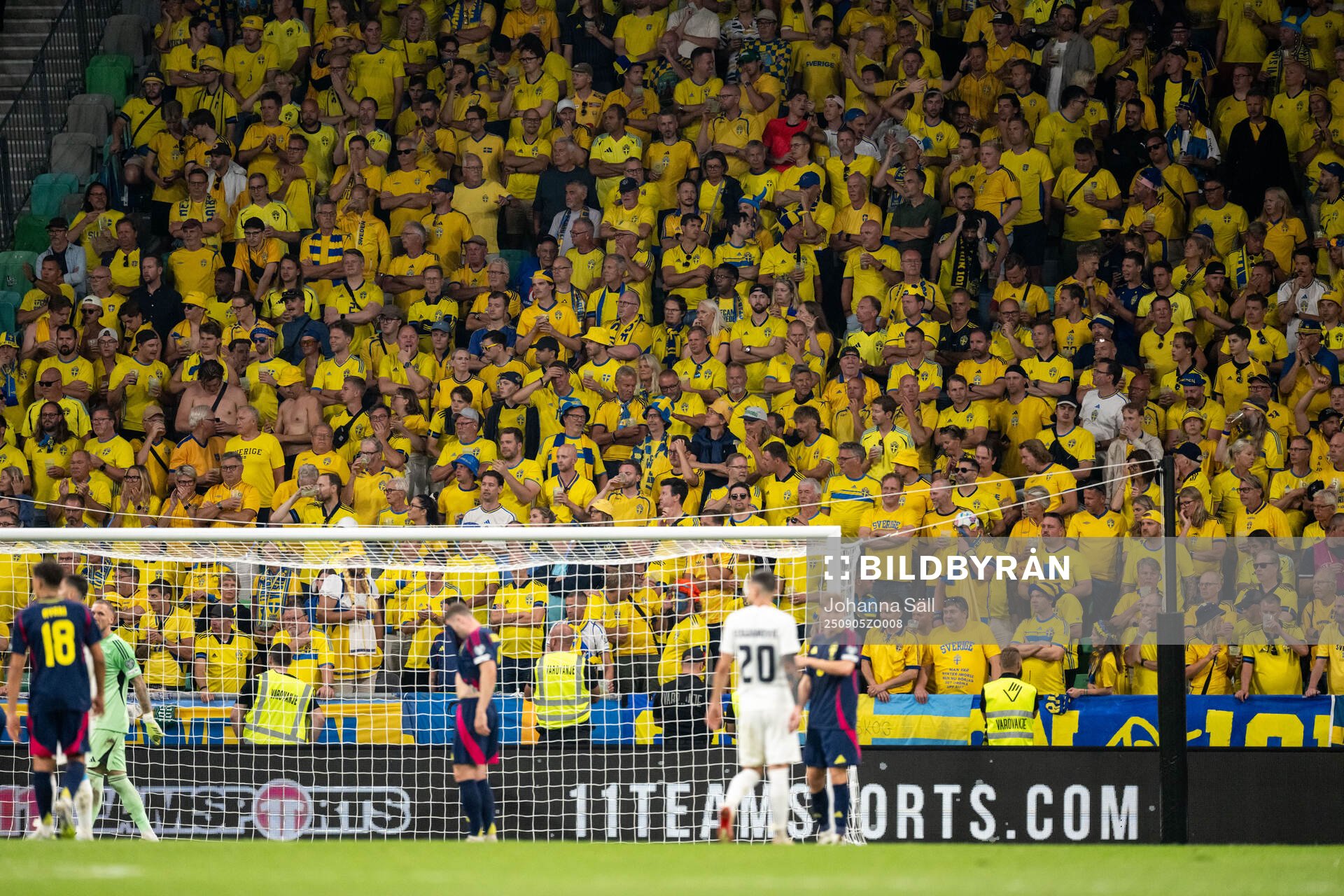 Fans of Sweden