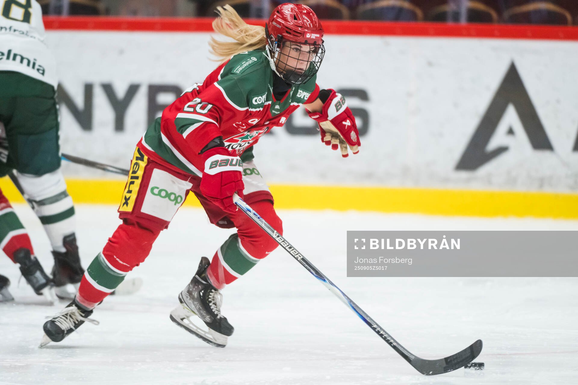 Modos Alyssa Mcleod