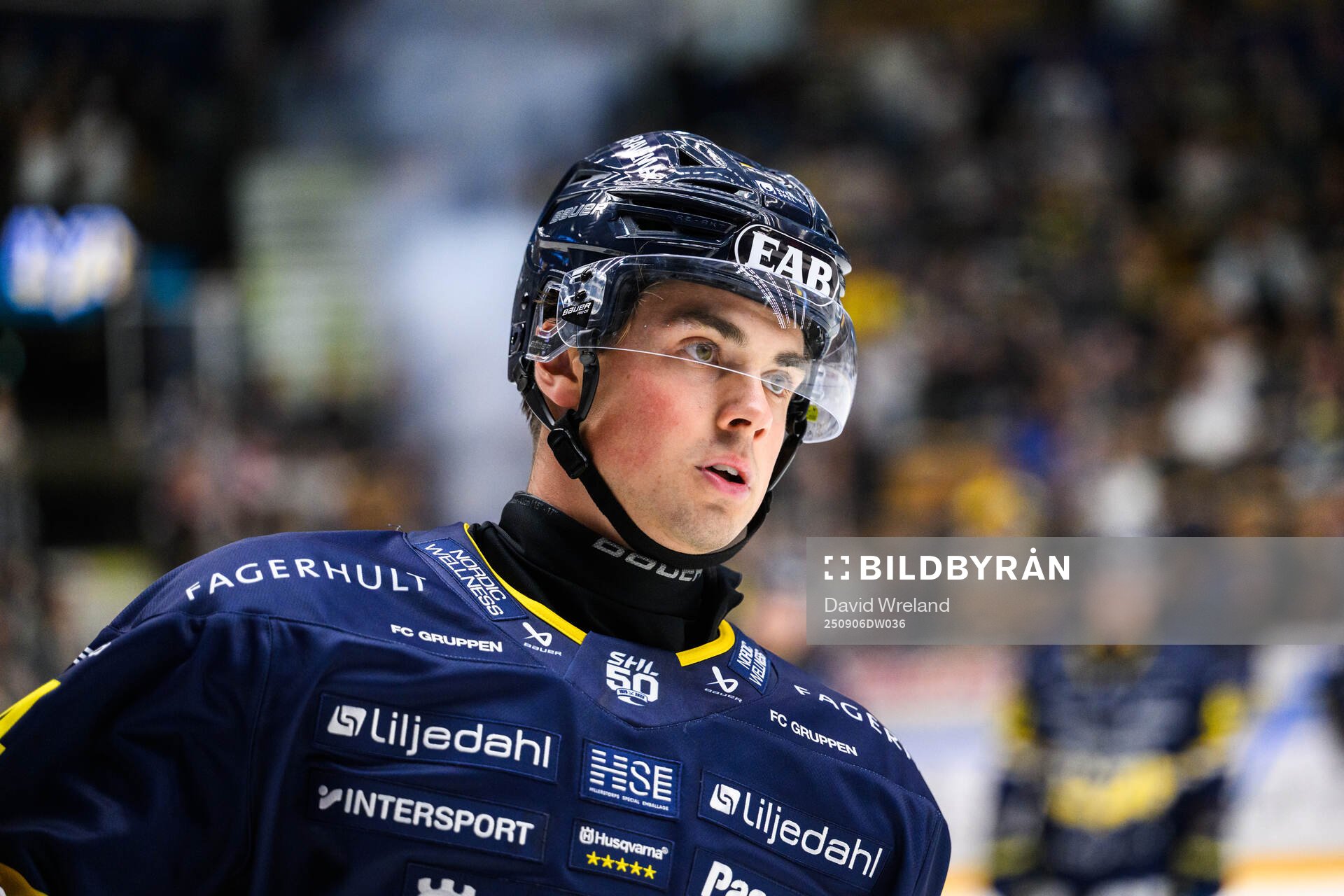 HV71s Hugo Fransson jublar