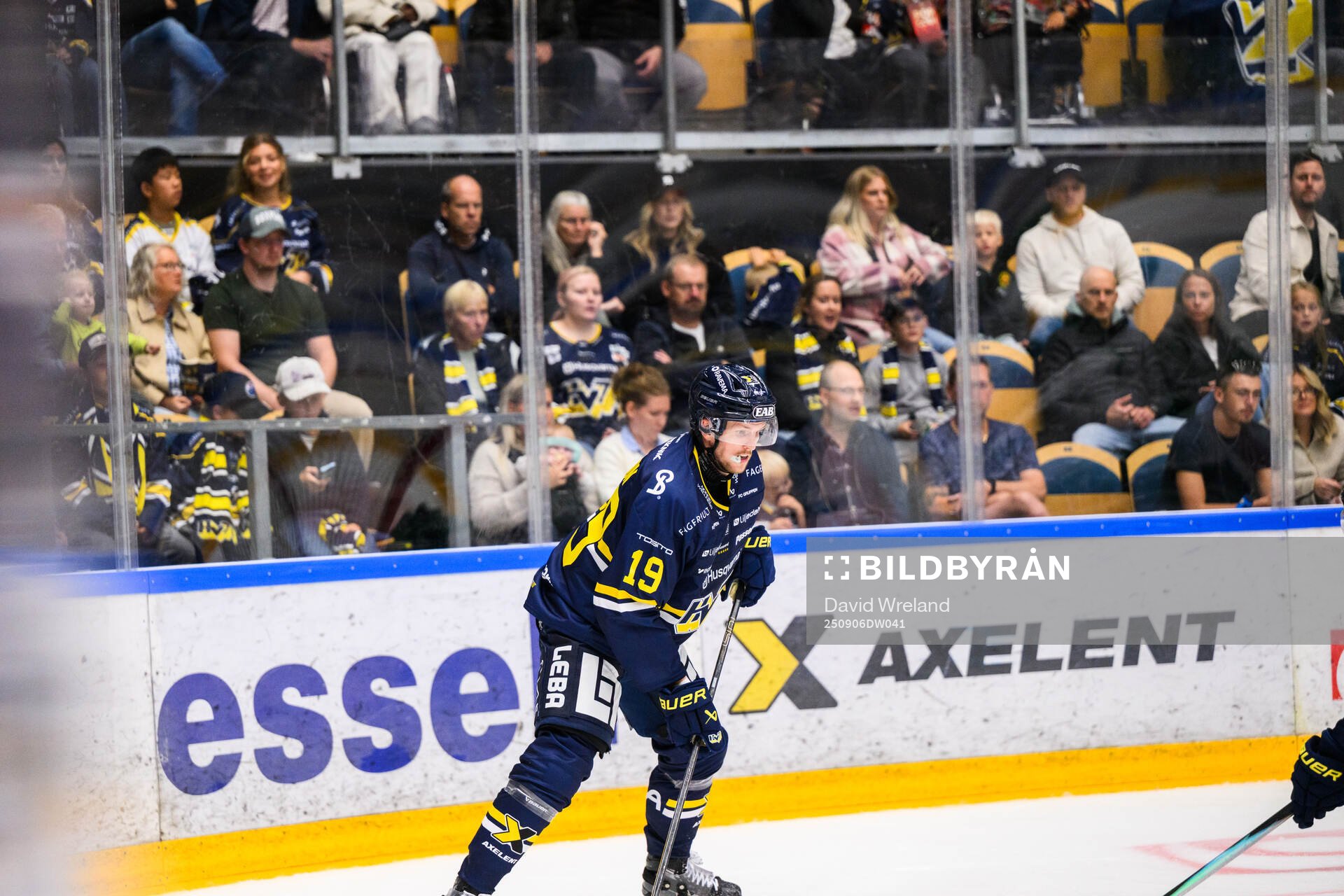 HV71s Niklas Hansson