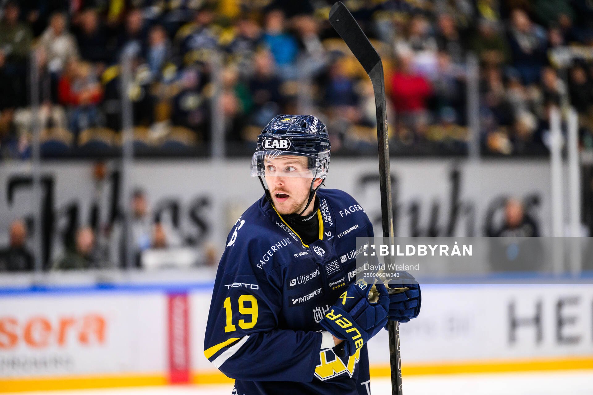 HV71s Niklas Hansson